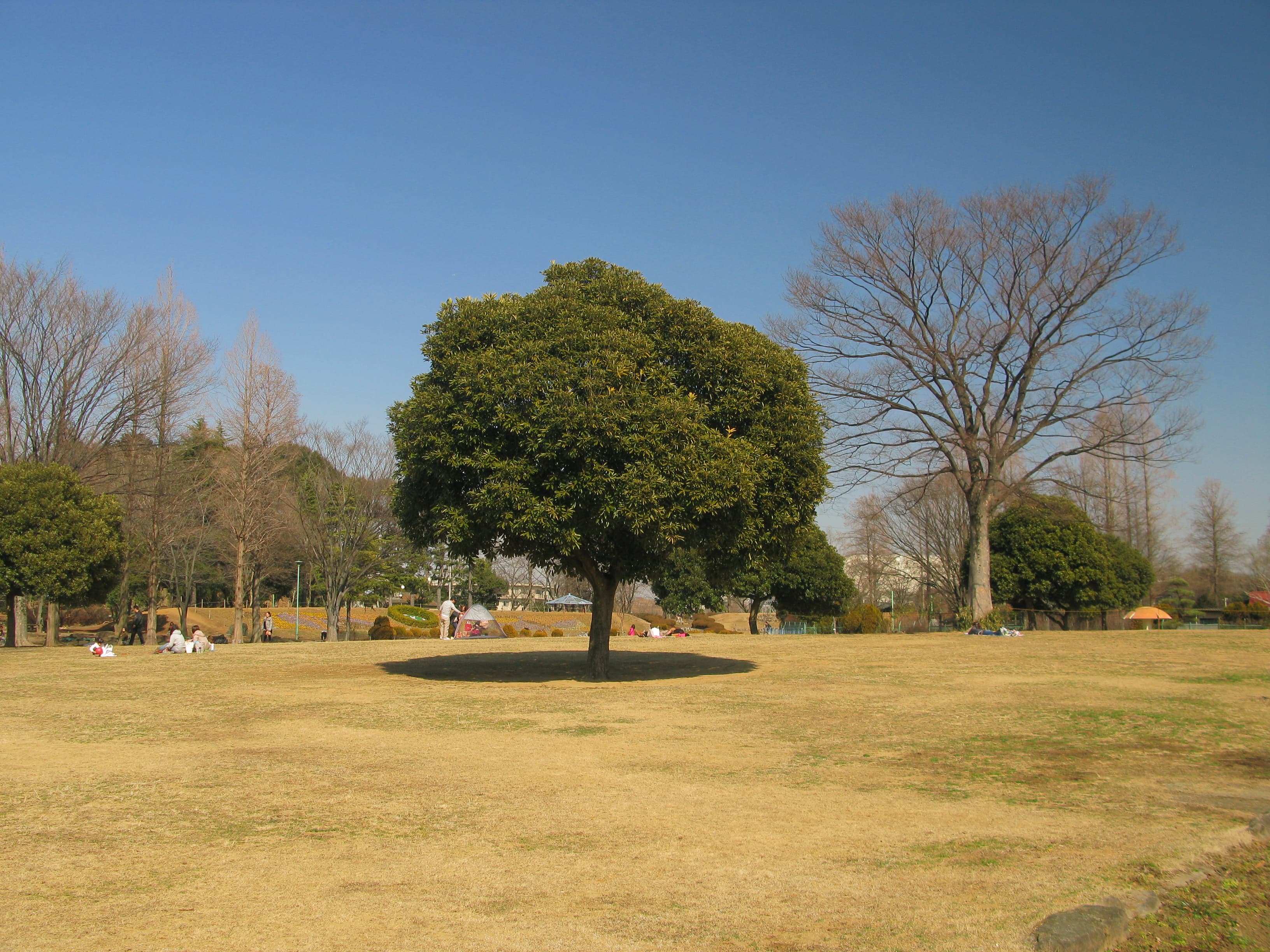 Ōsaki Park