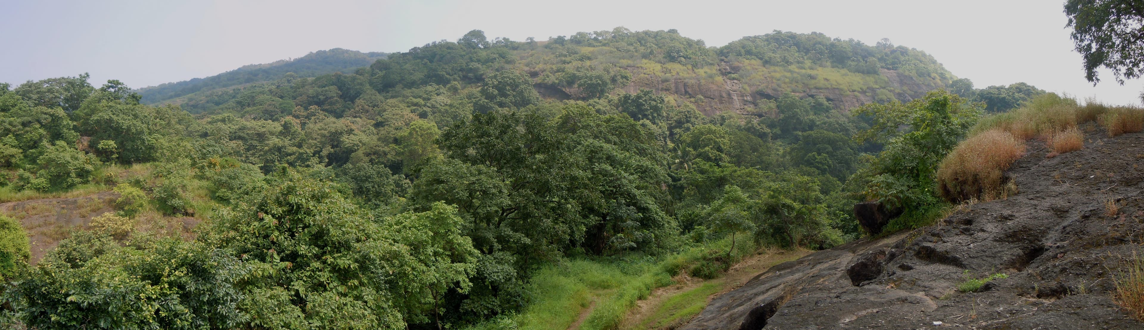 Sanjay Gandhi National Park