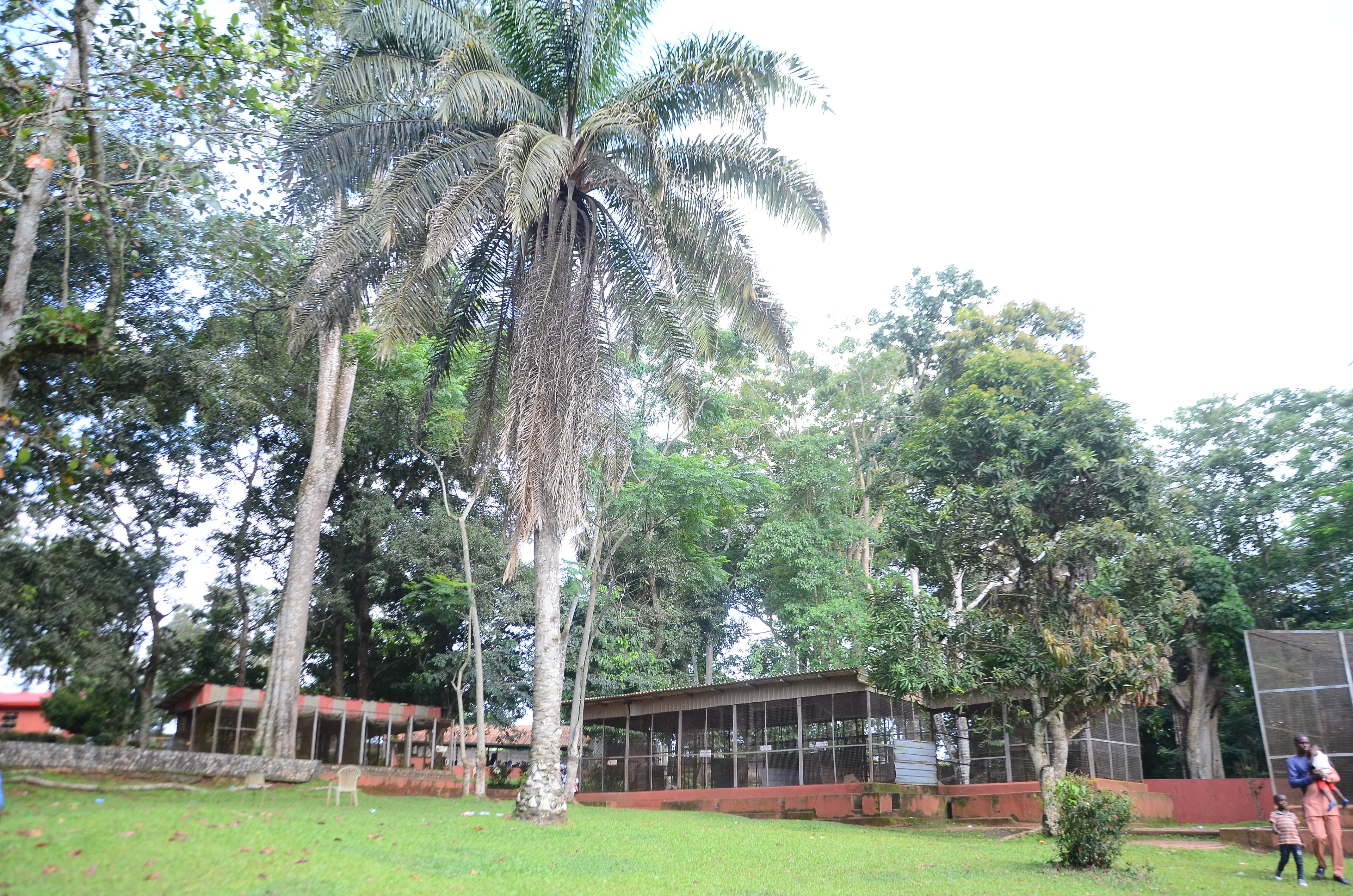 Ogba Zoo & Nature Park