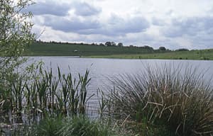 Sence Valley Forest Park