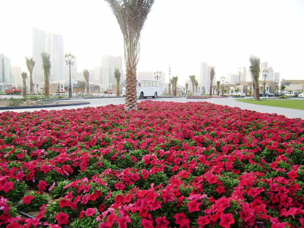 Al Majaz Park
