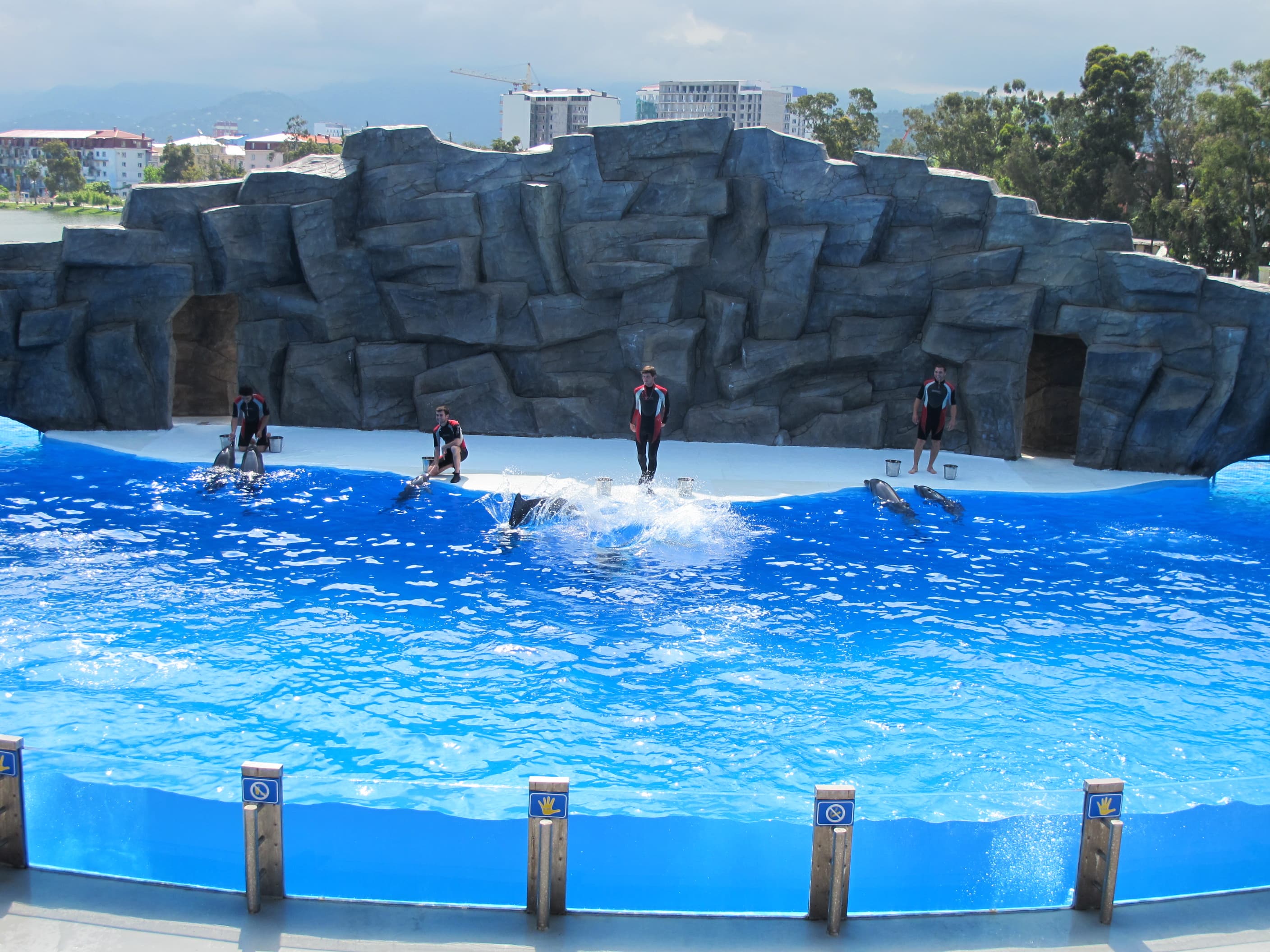 Batumi Dolphinarium