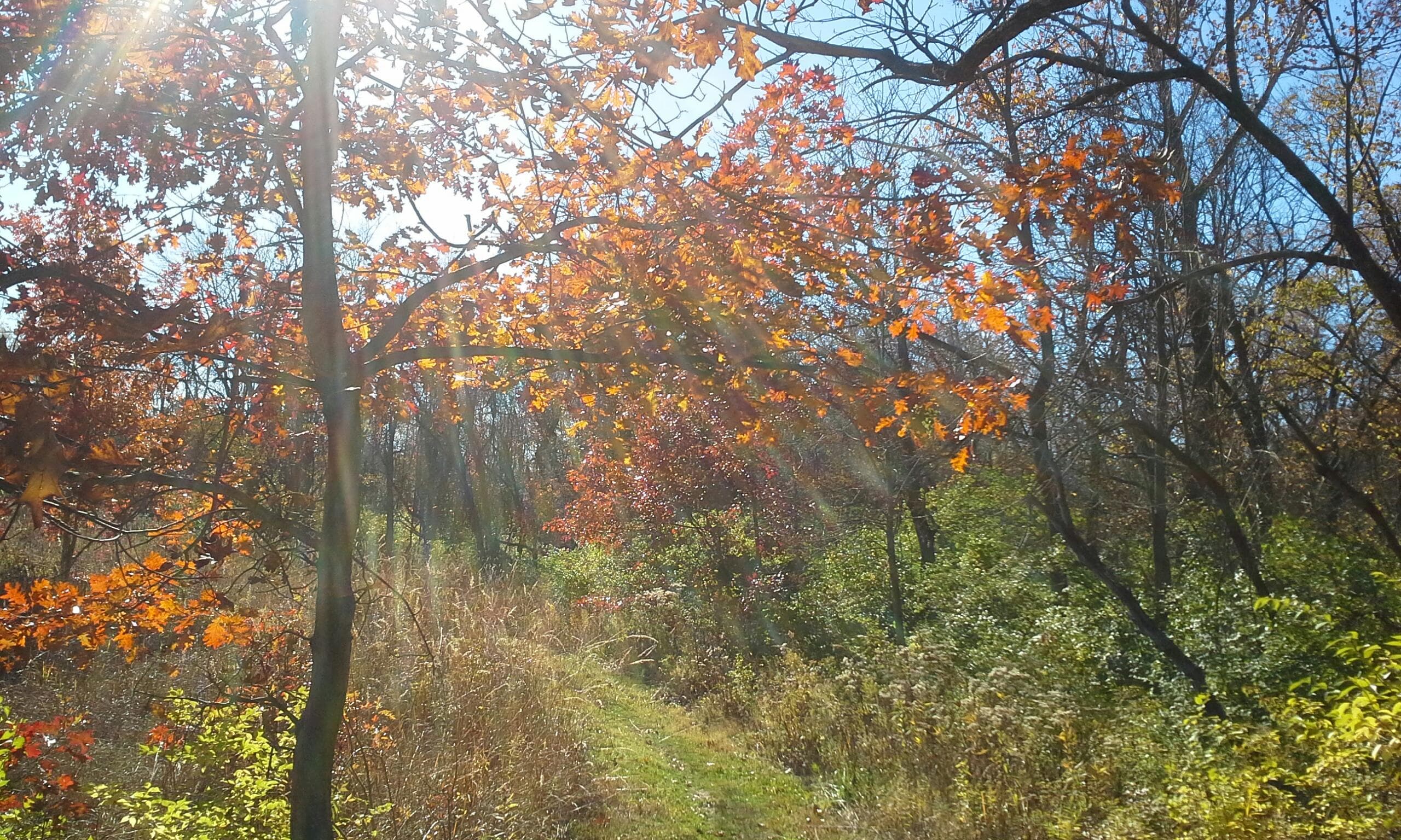 Skiles Test Nature Park