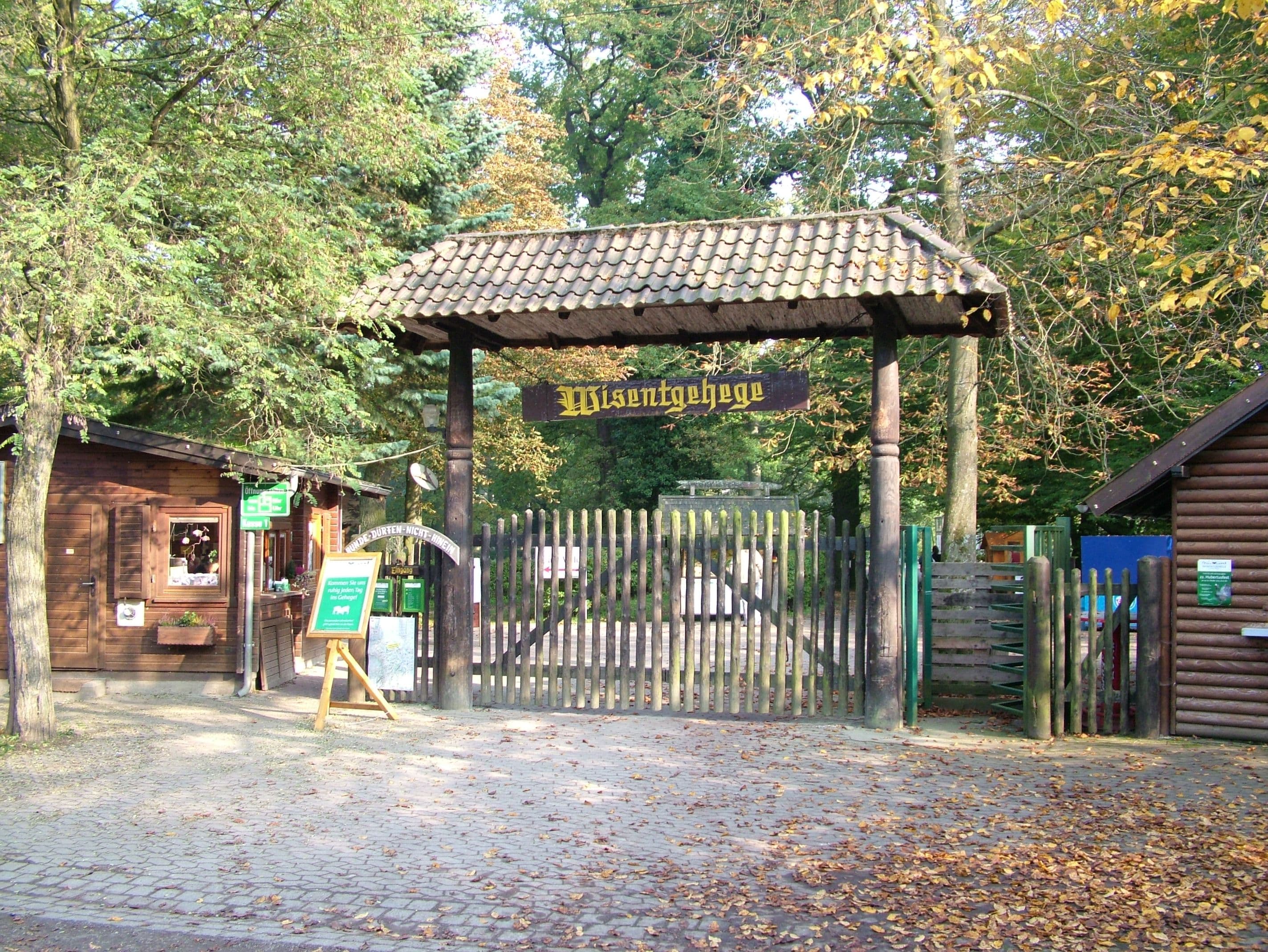 Wisentgehege Springe