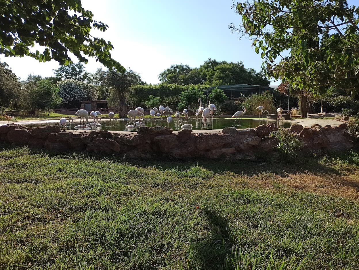 Attica Zoological Park