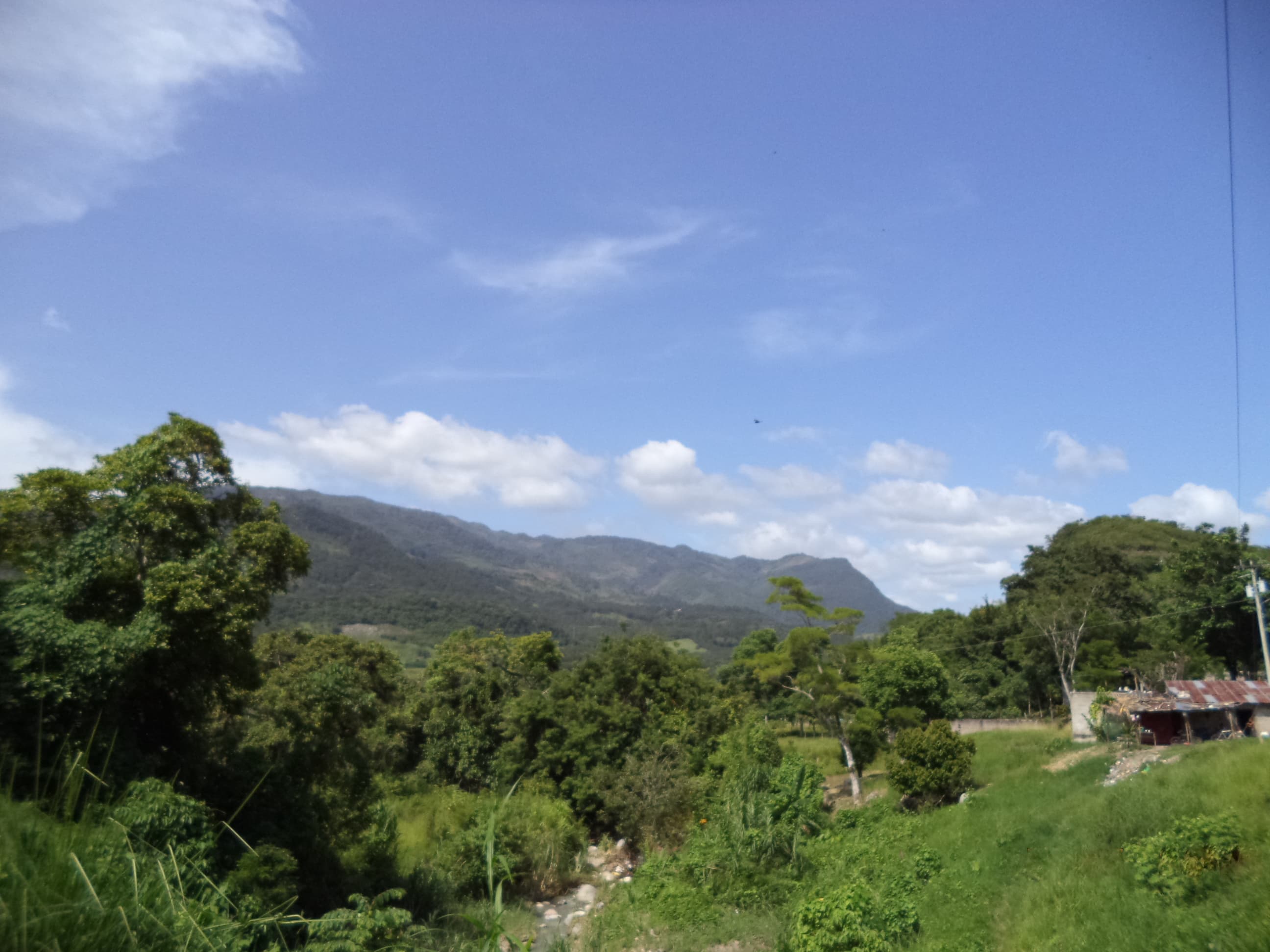 Comayagua Department