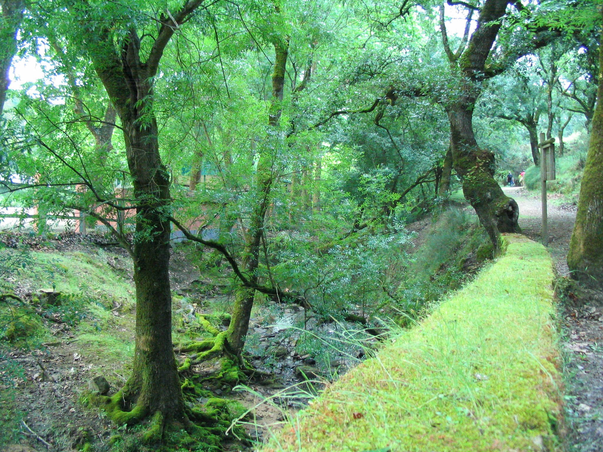 Hunting Park of Mafra