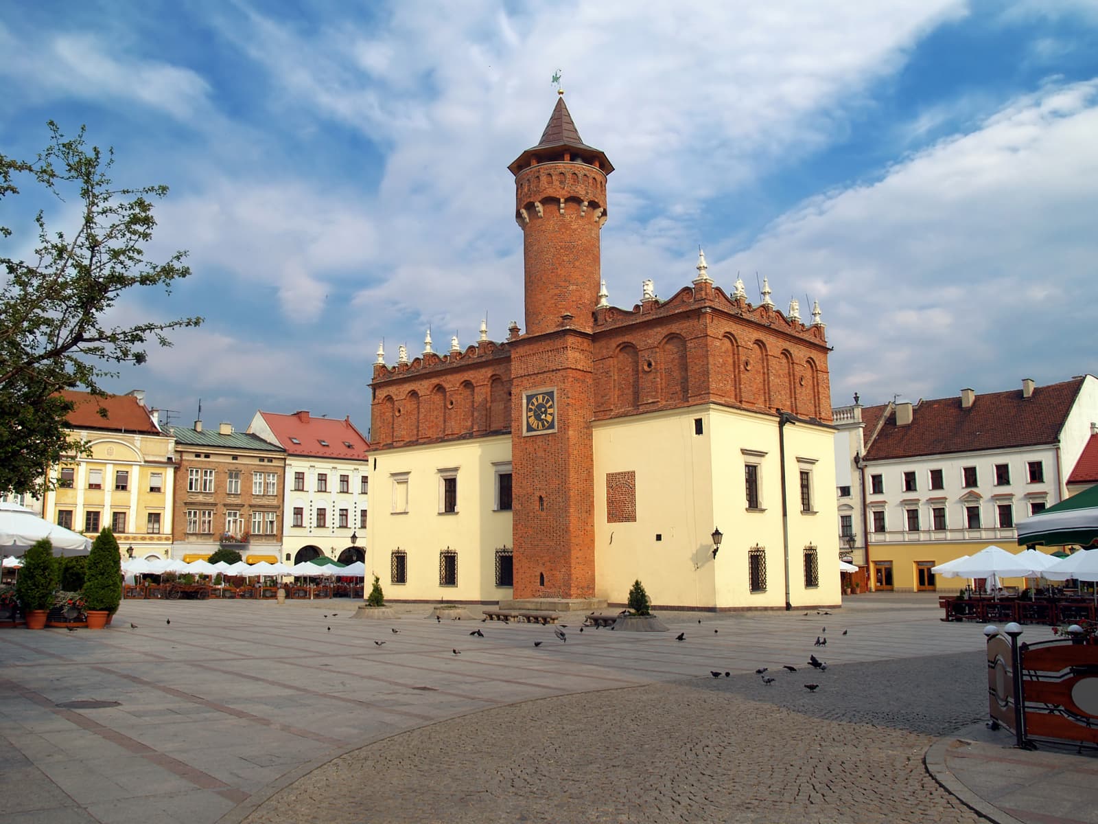 Tarnów