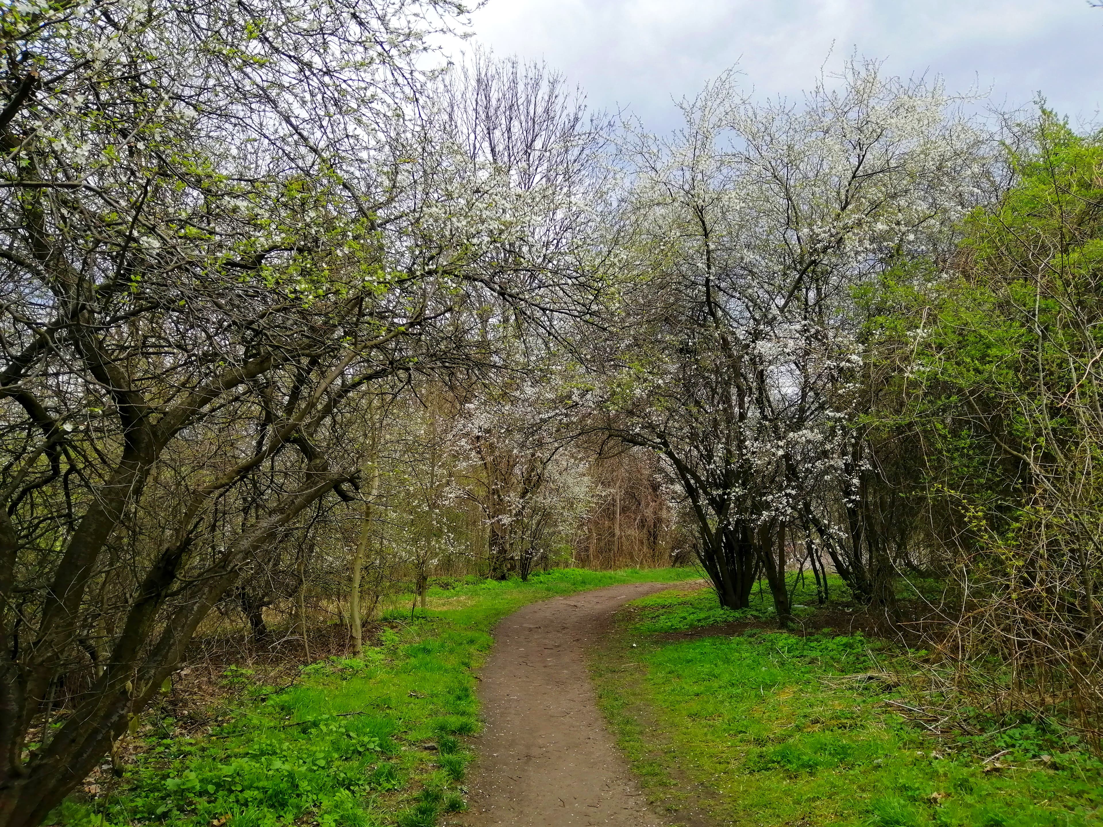Reden Park in Tarnowskie Góry
