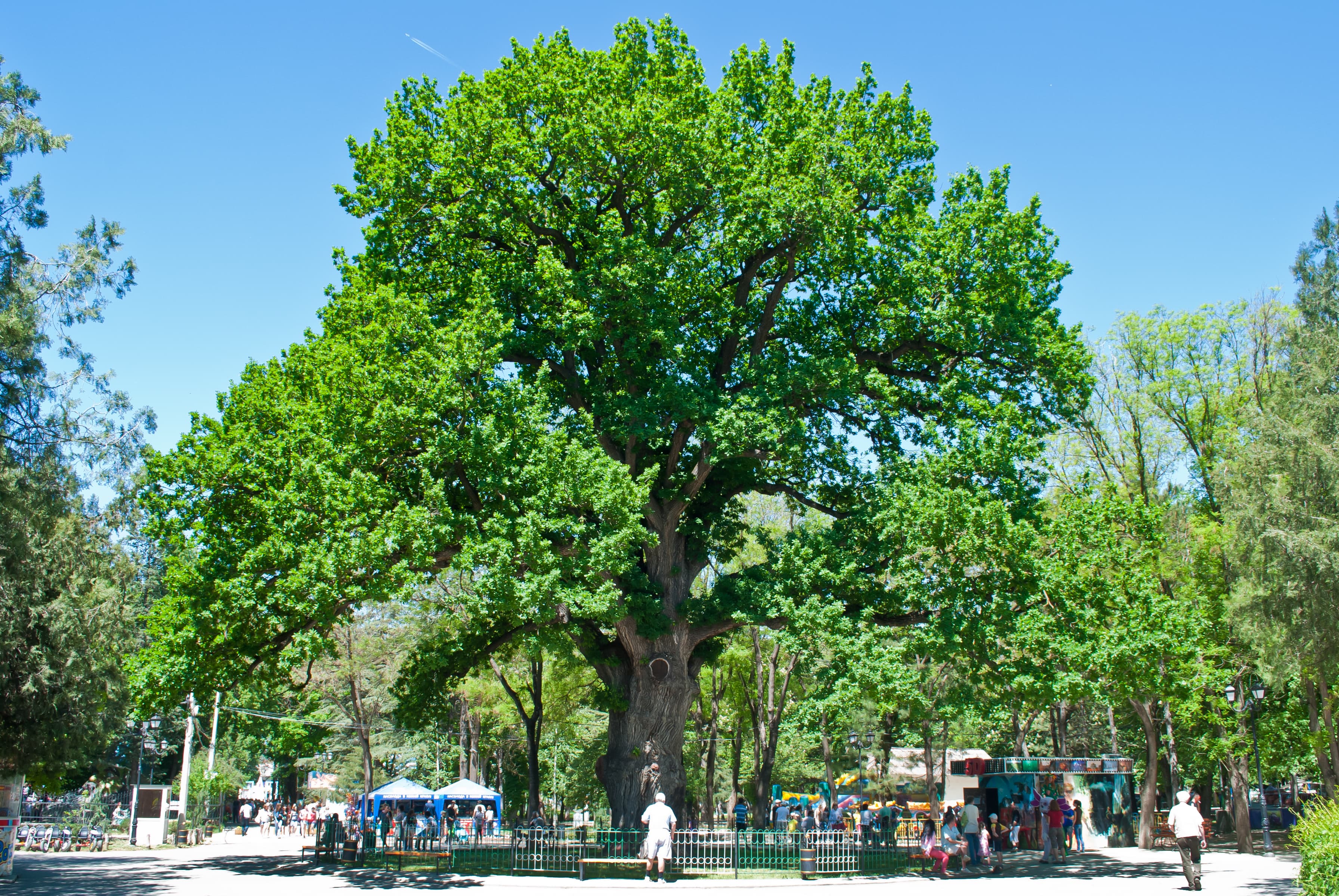 Simferopol Children's Park