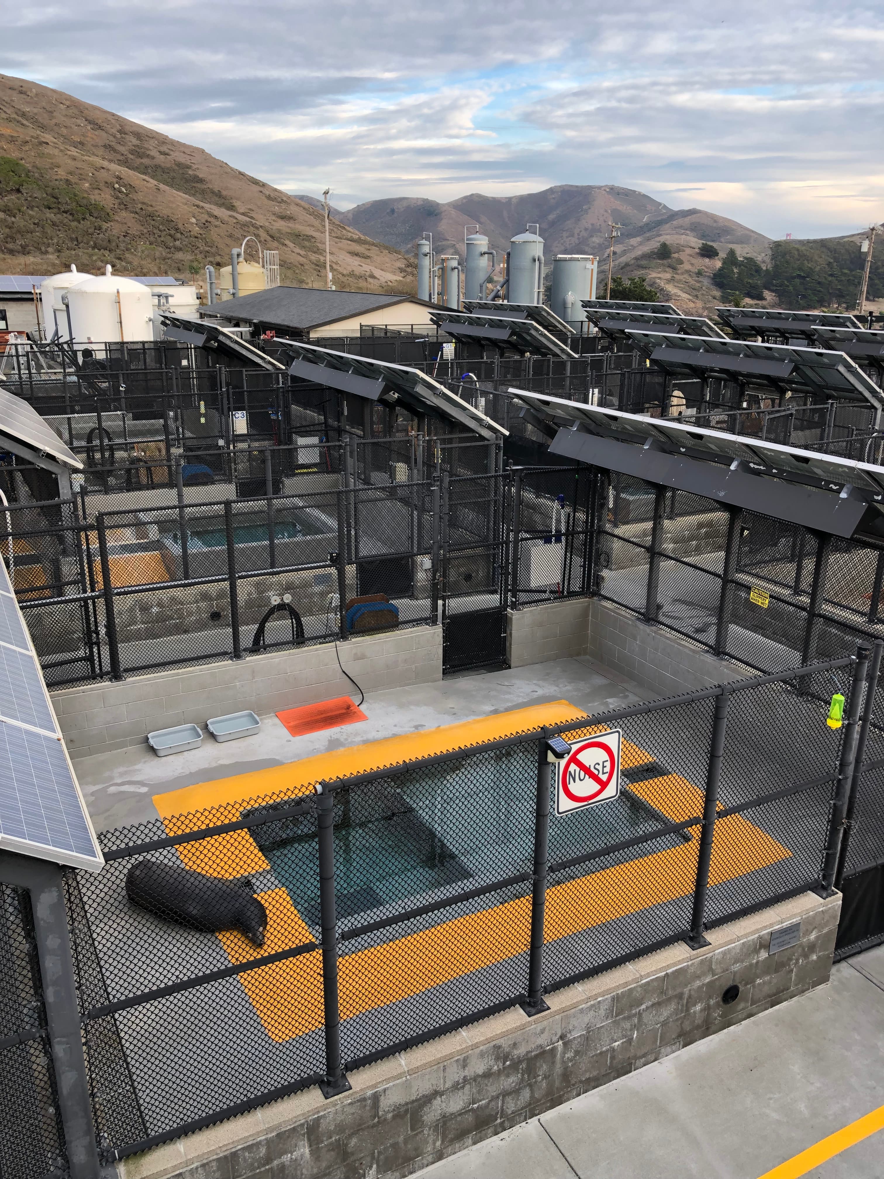 The Marine Mammal Center