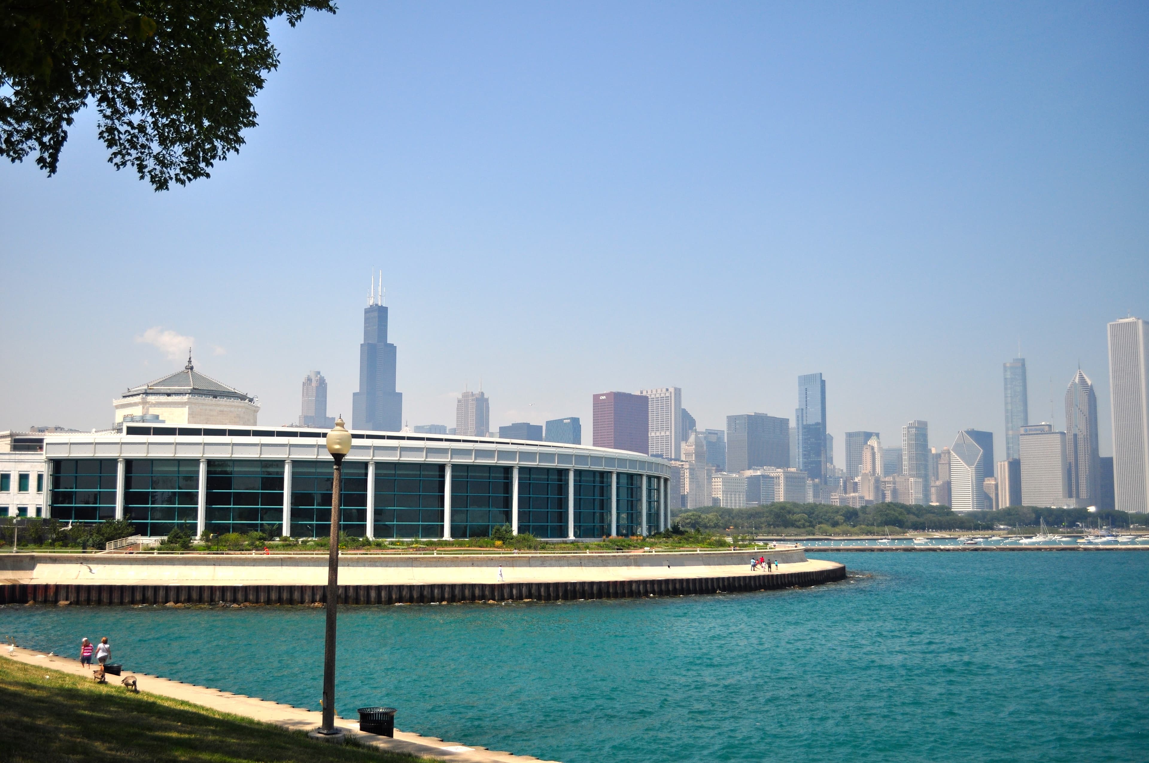Shedd Aquarium
