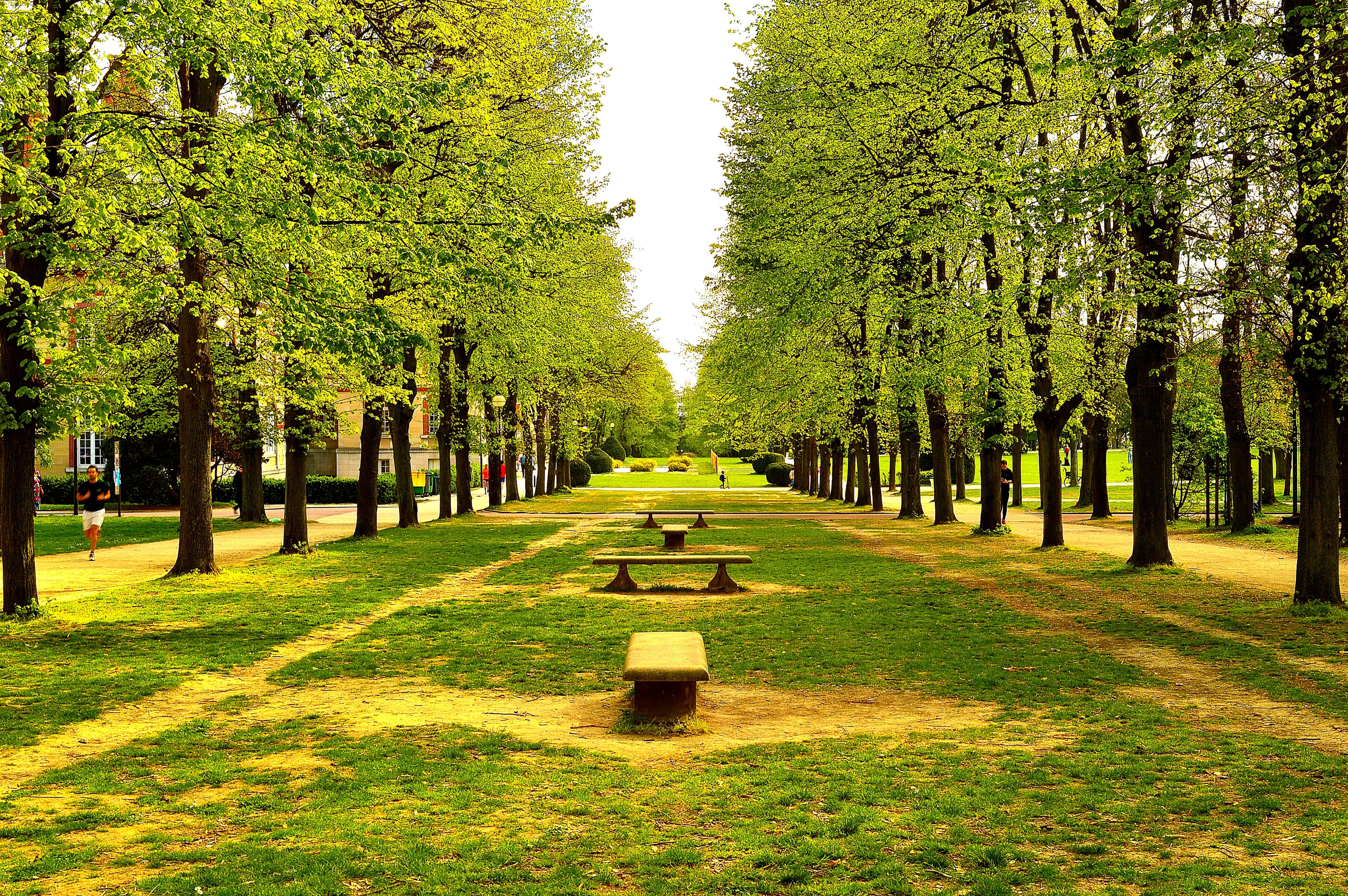 Parc de la Cité internationale universitaire de Paris
