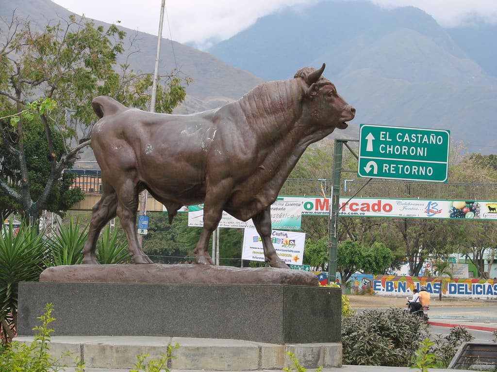 Toro de Las Delicias