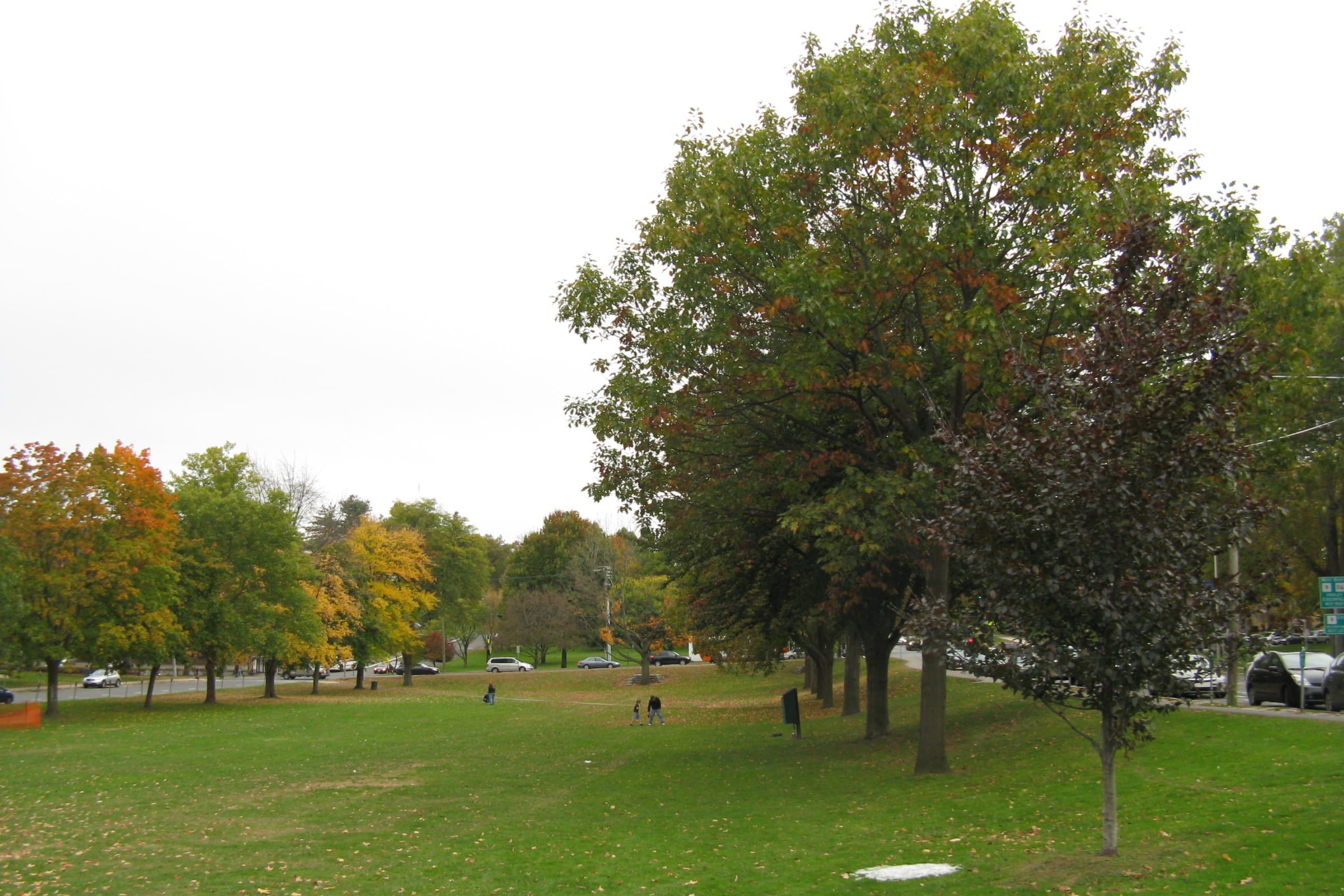 Amherst Common
