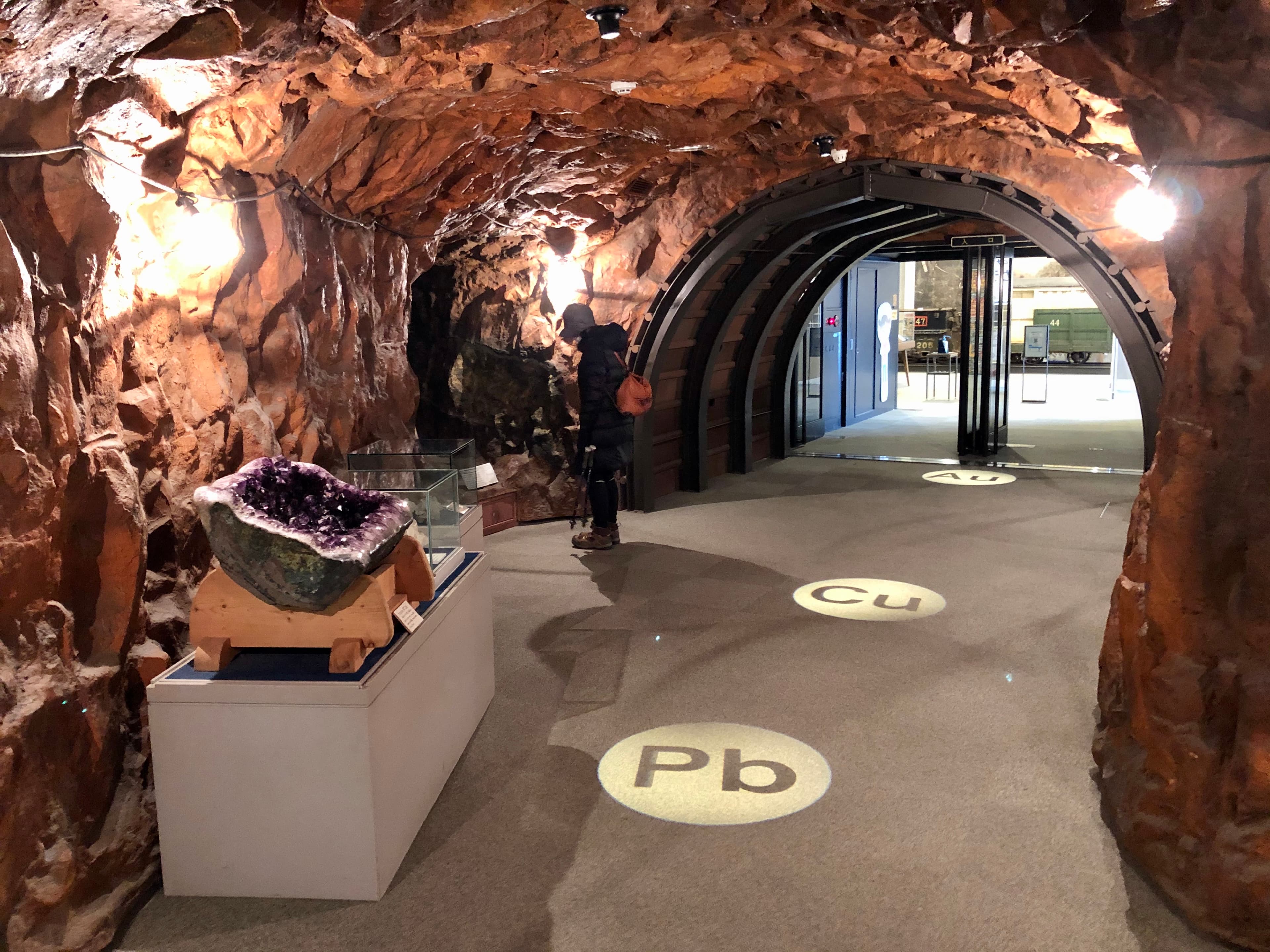 Toyohashi Museum of Natural Resources