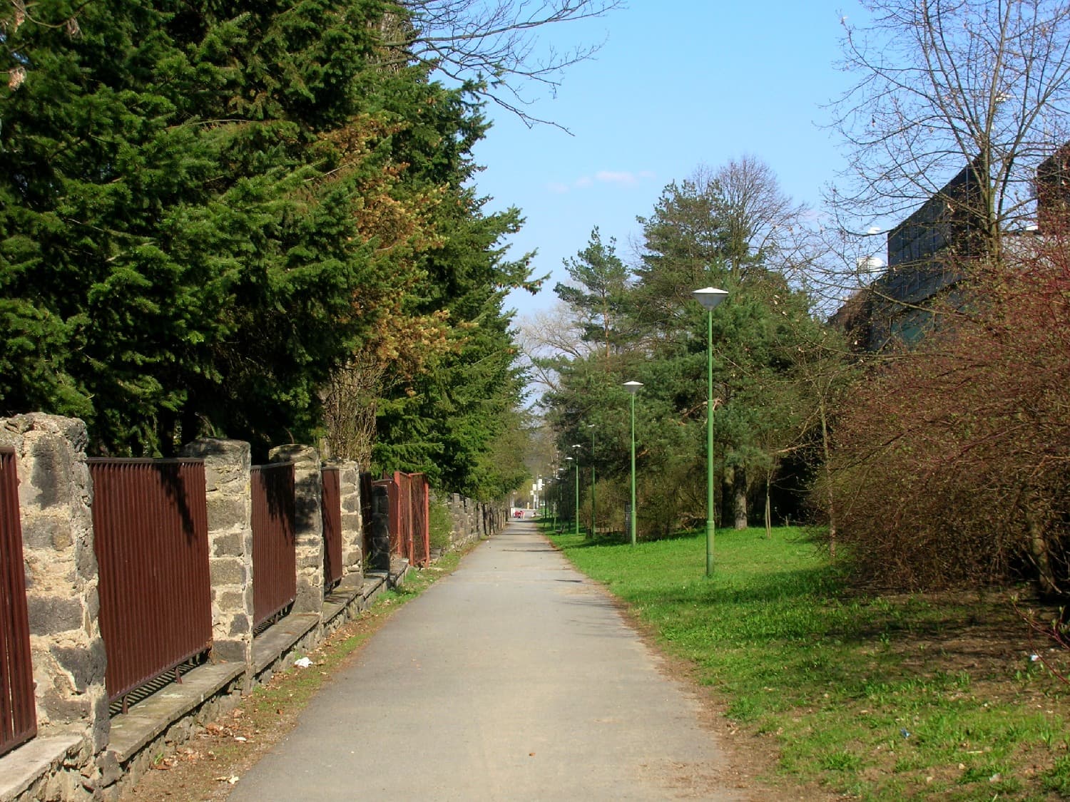 Janáčkovo stromořadí