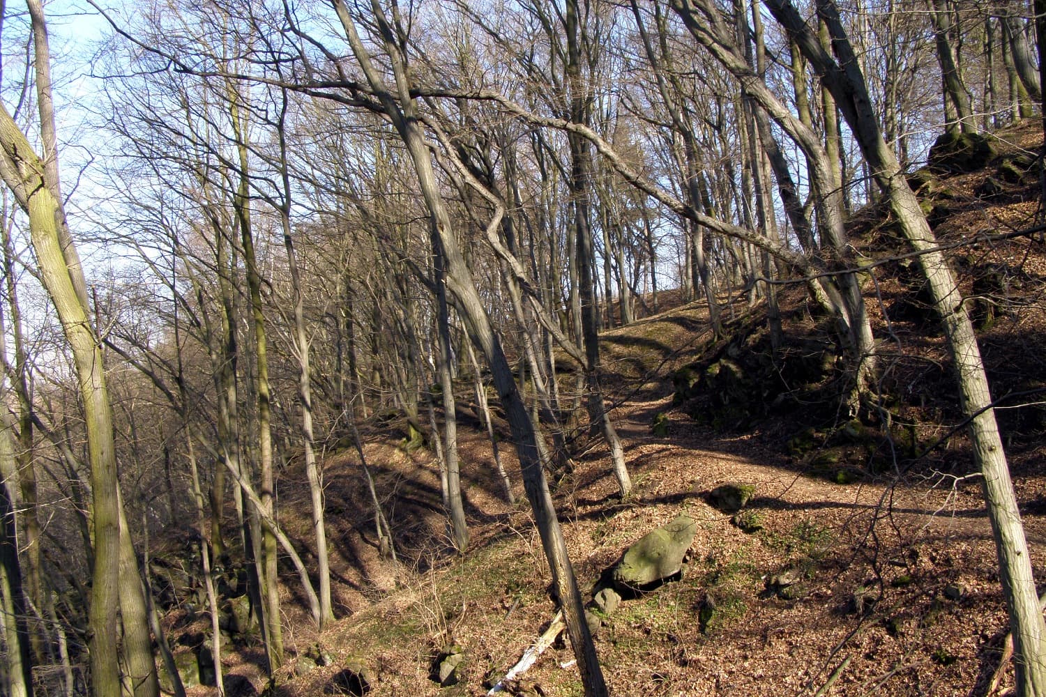 Krajíčkova stráň