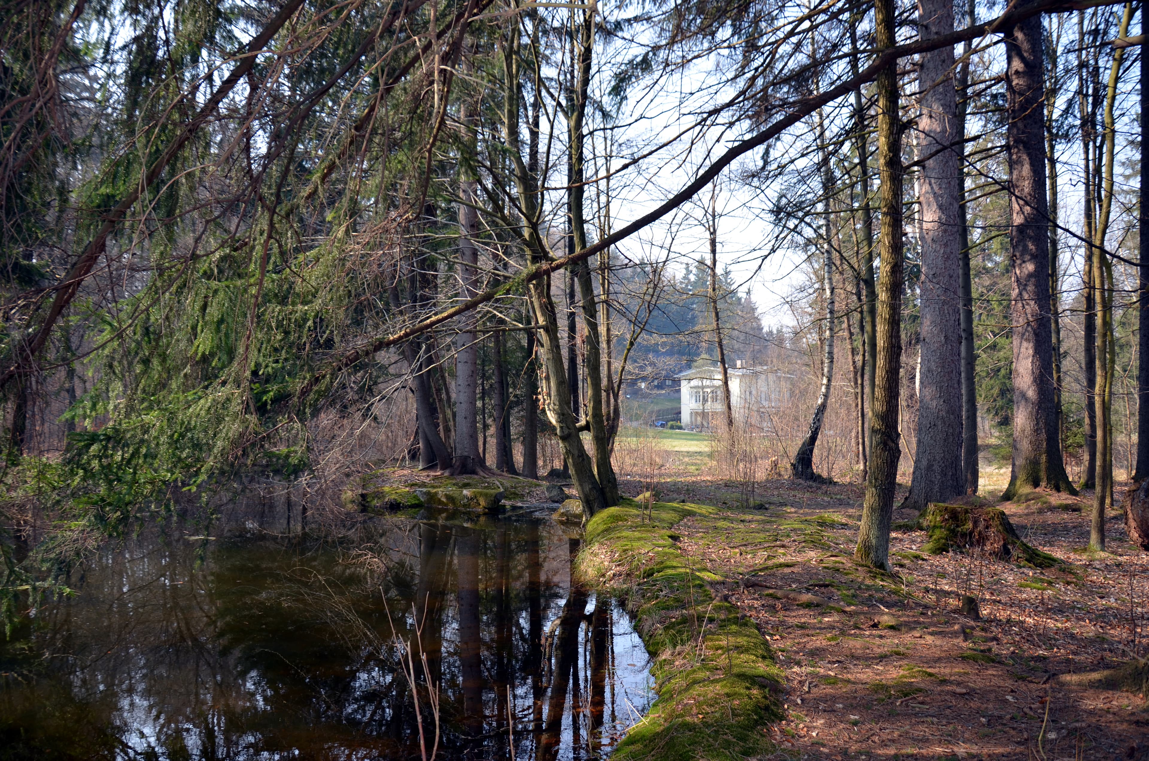 Park of former villa Rohrlach