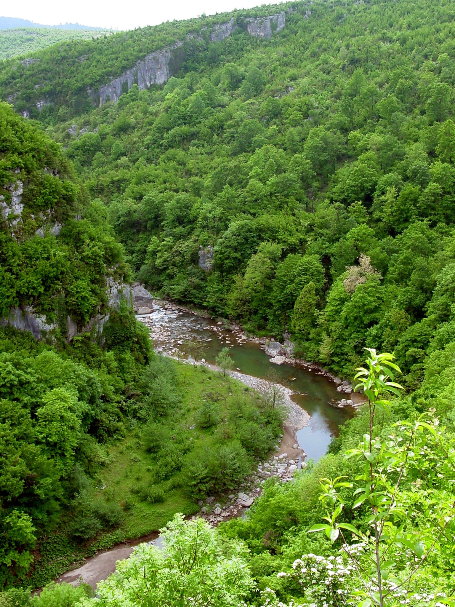 Tsqaltubo Municipality