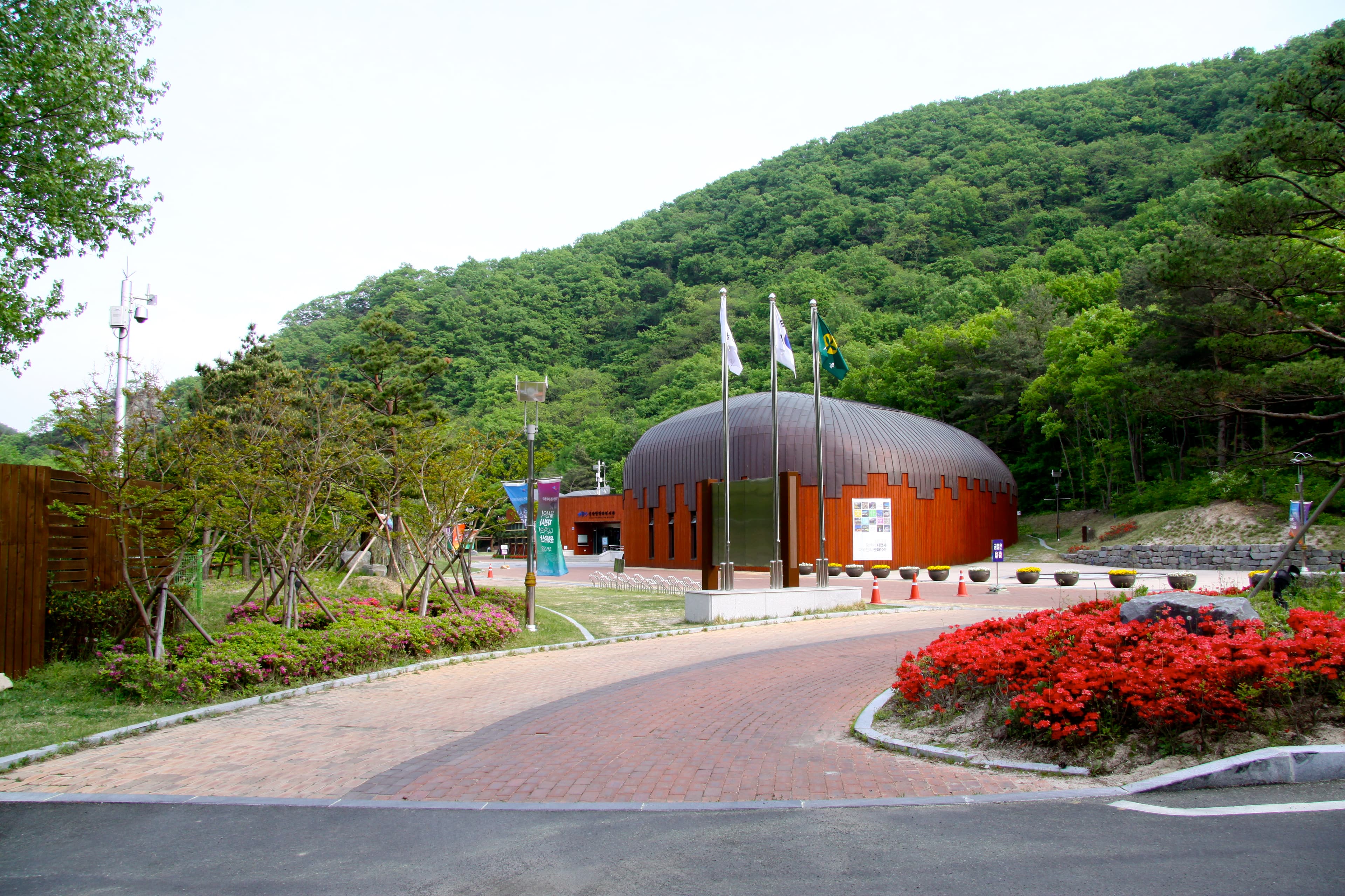 Ulsan Petroglyph Museum