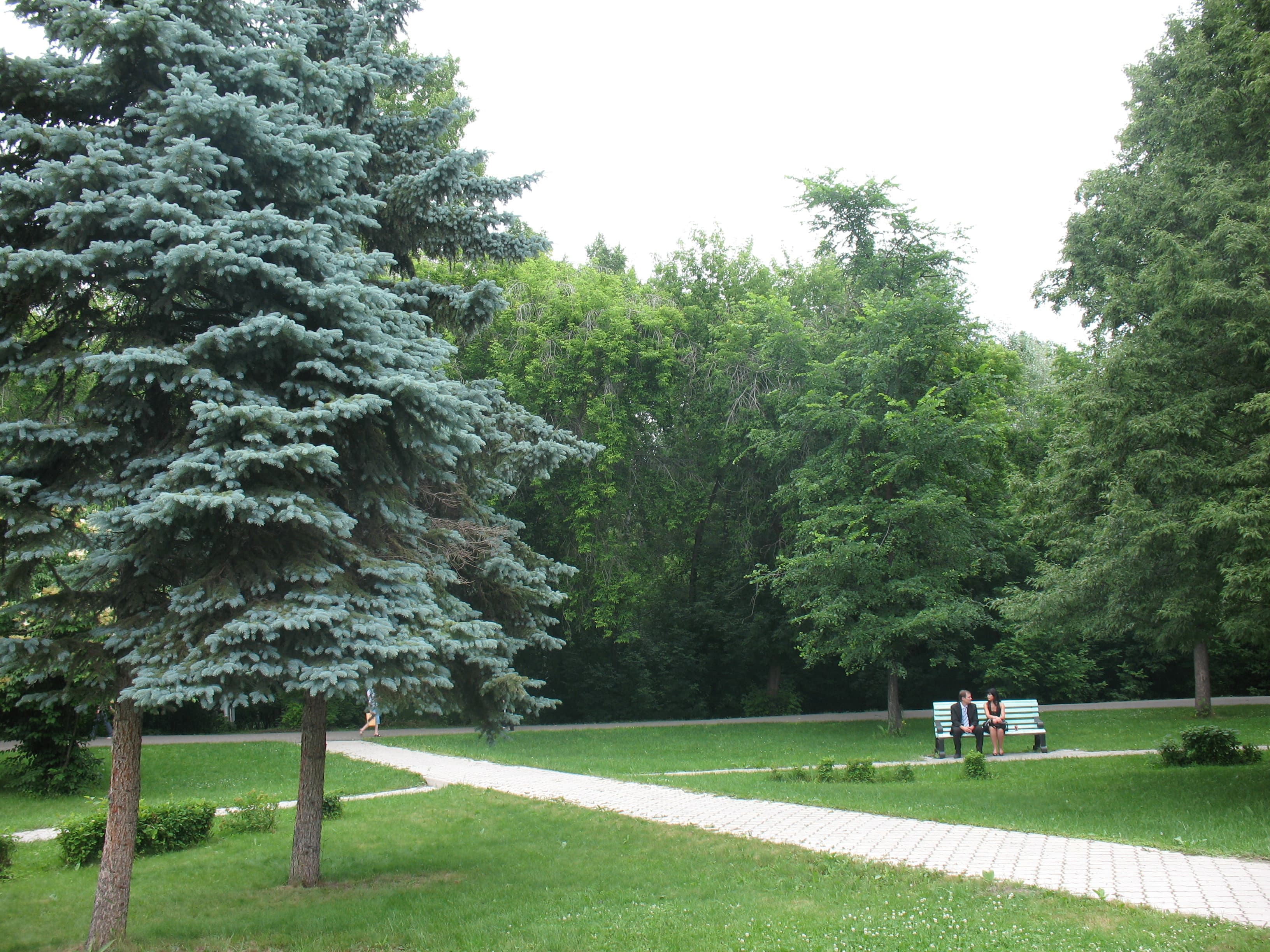 Universitetskaya Roshcha