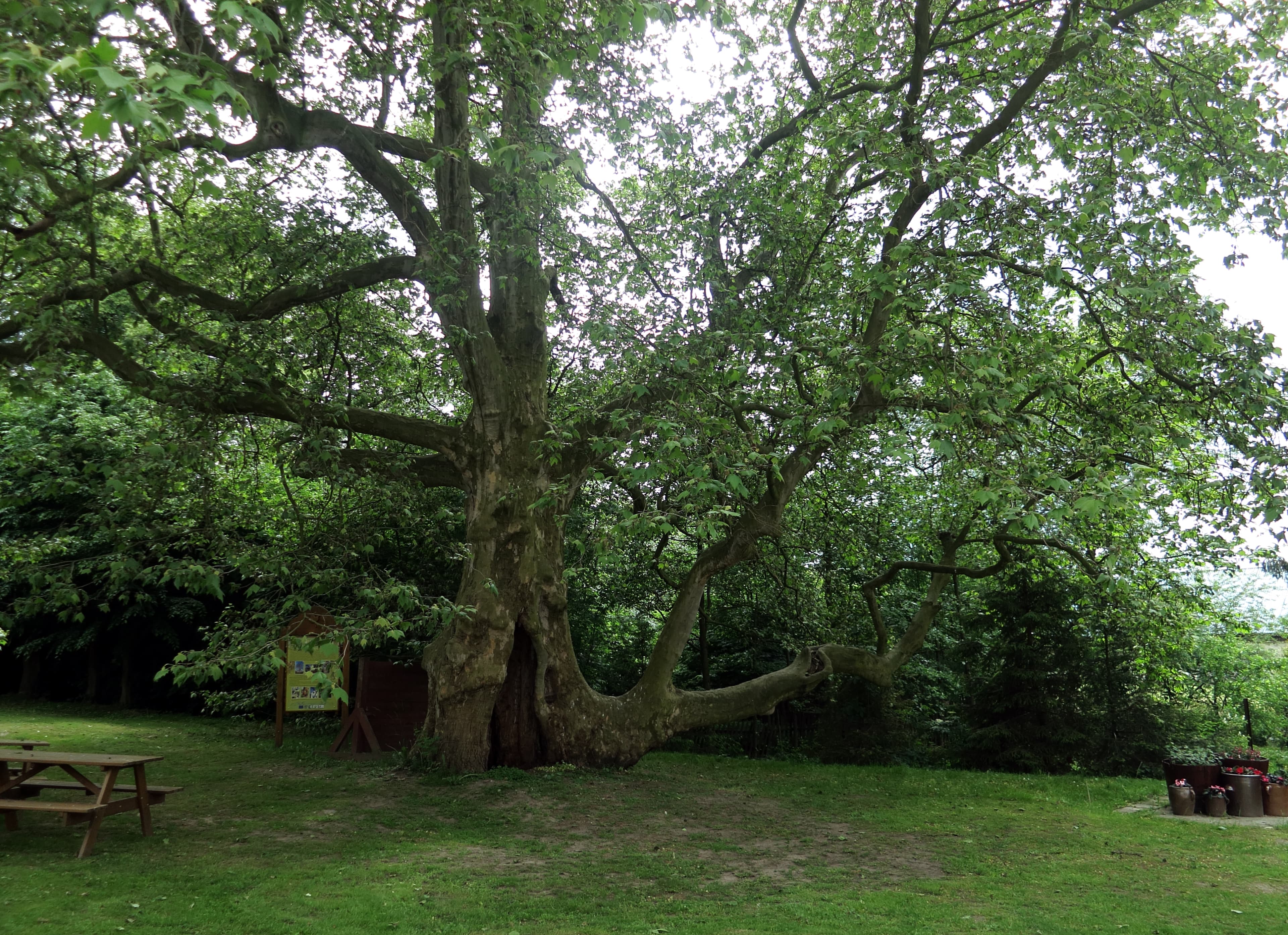 Cultural heritage monuments in gmina Gorzów Śląski