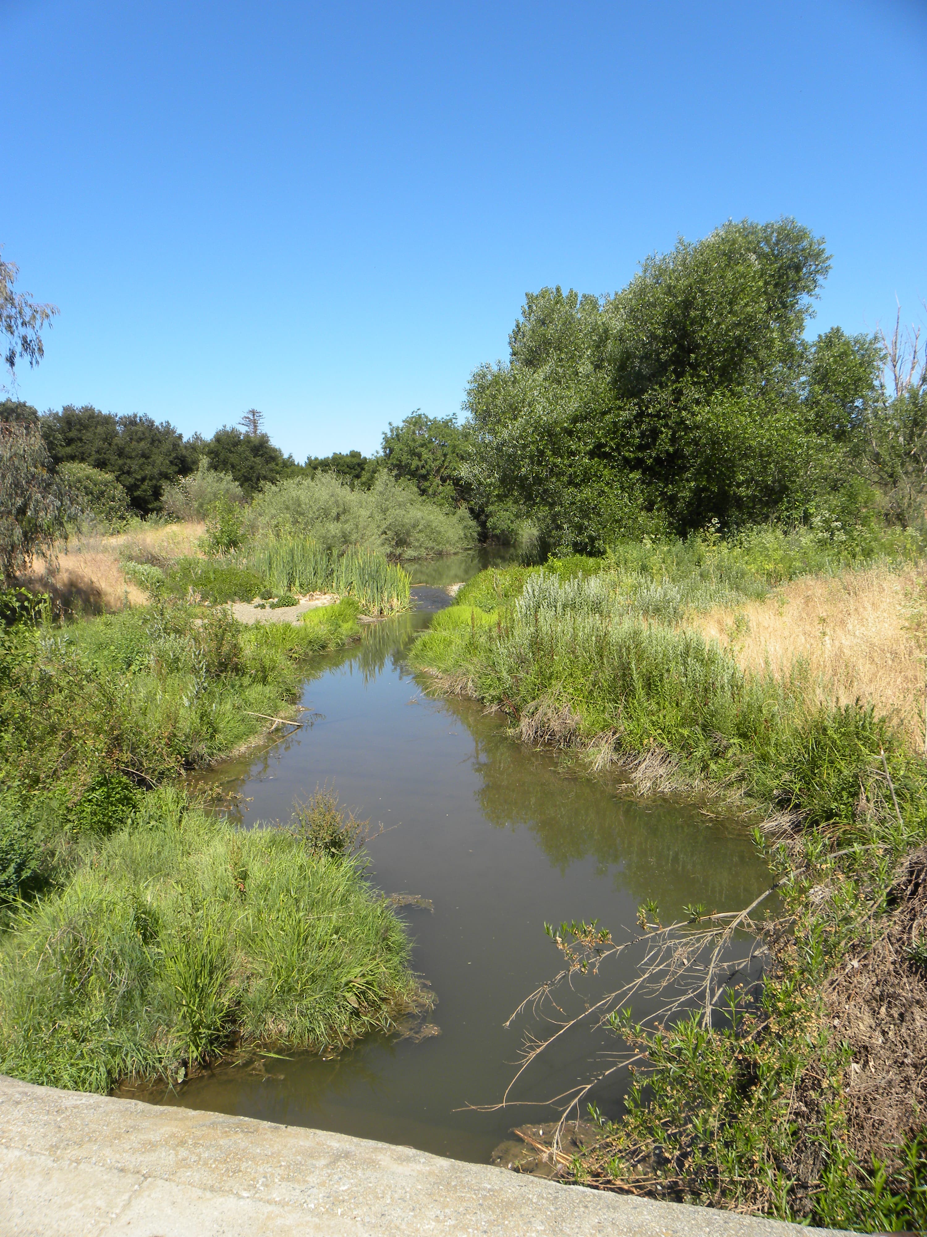 Uvas Creek Preserve