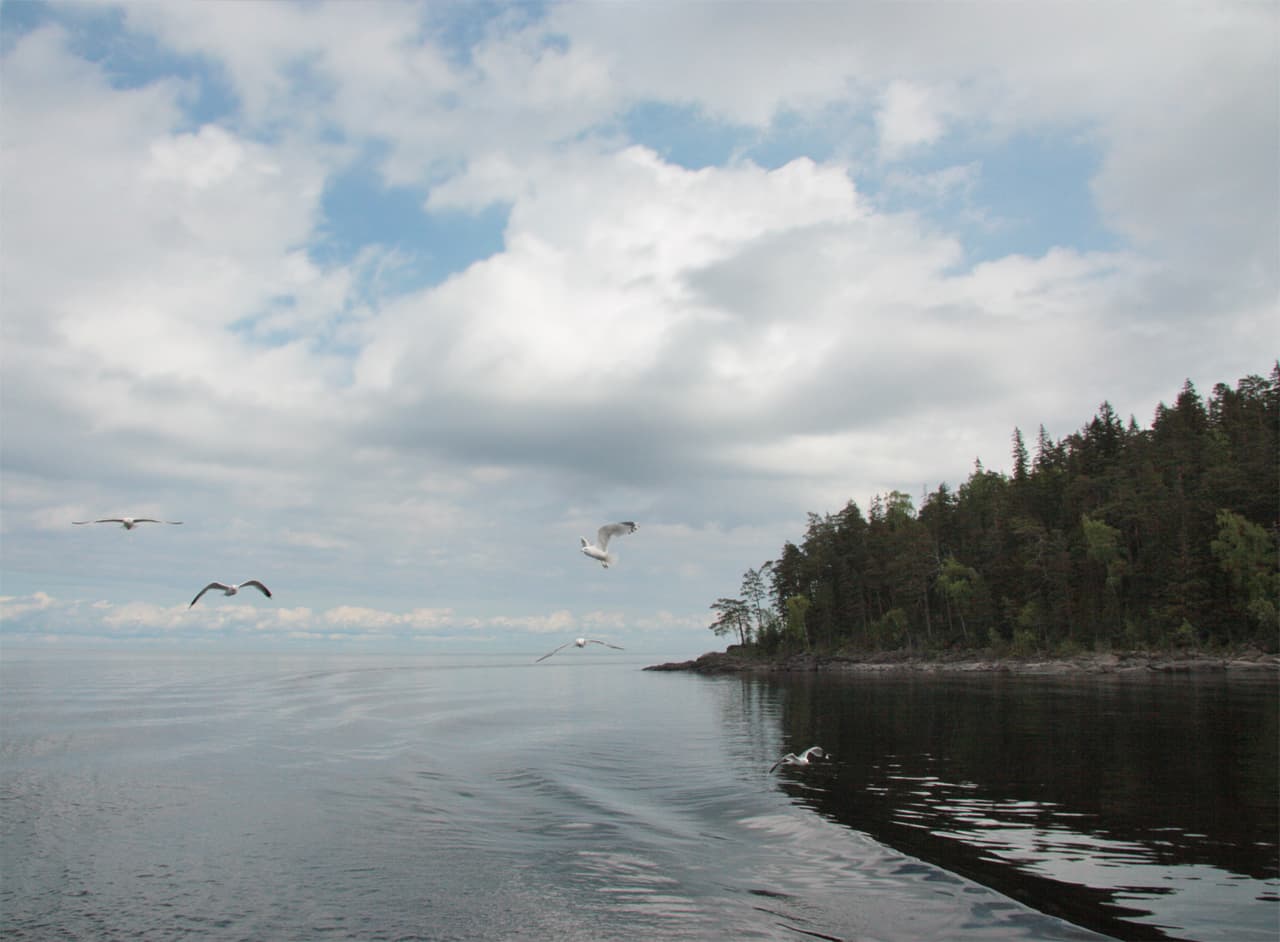 Sortavalsky District