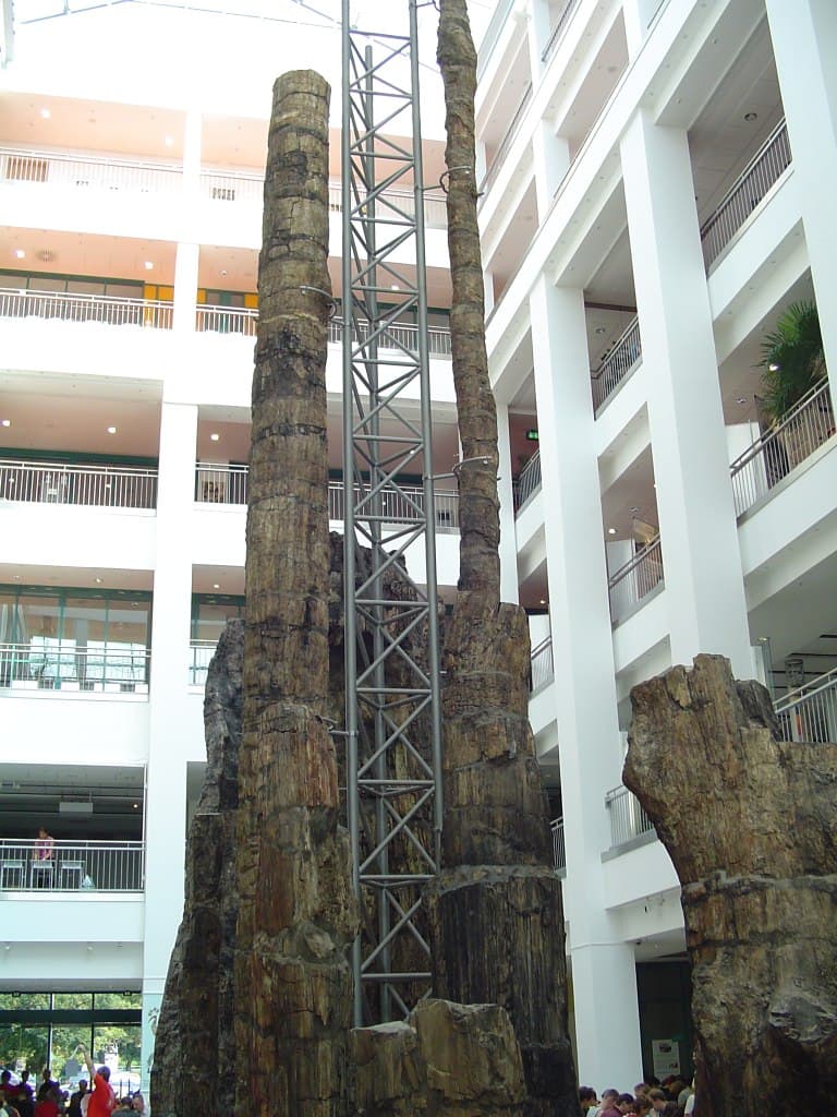 Museum of Natural History Chemnitz