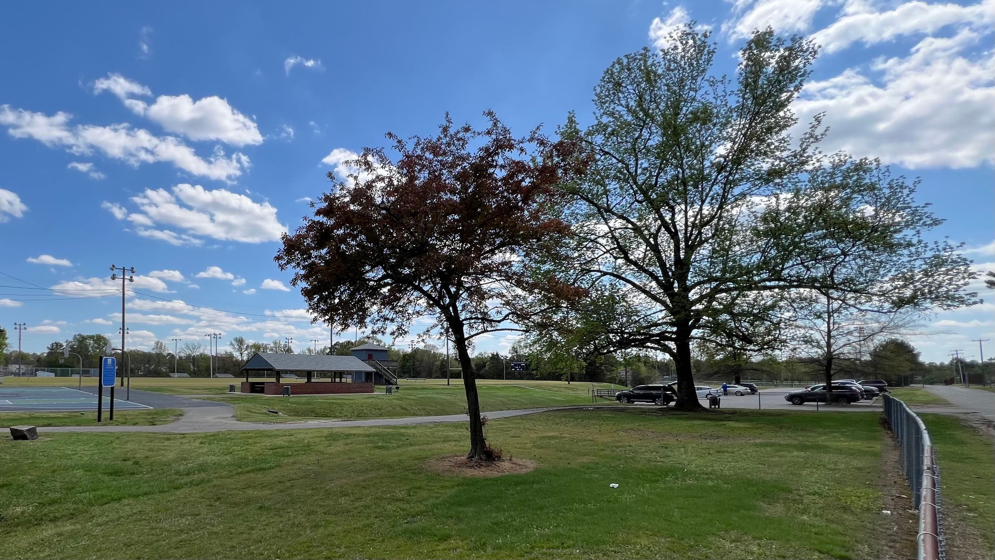 Virginia Randolph Park