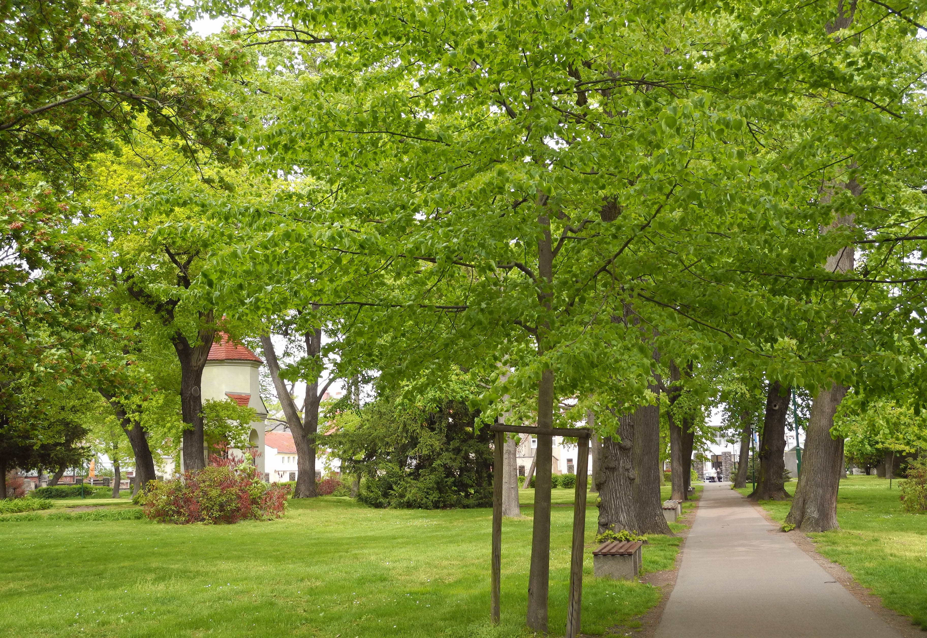 Old Cemetery, Wurzen
