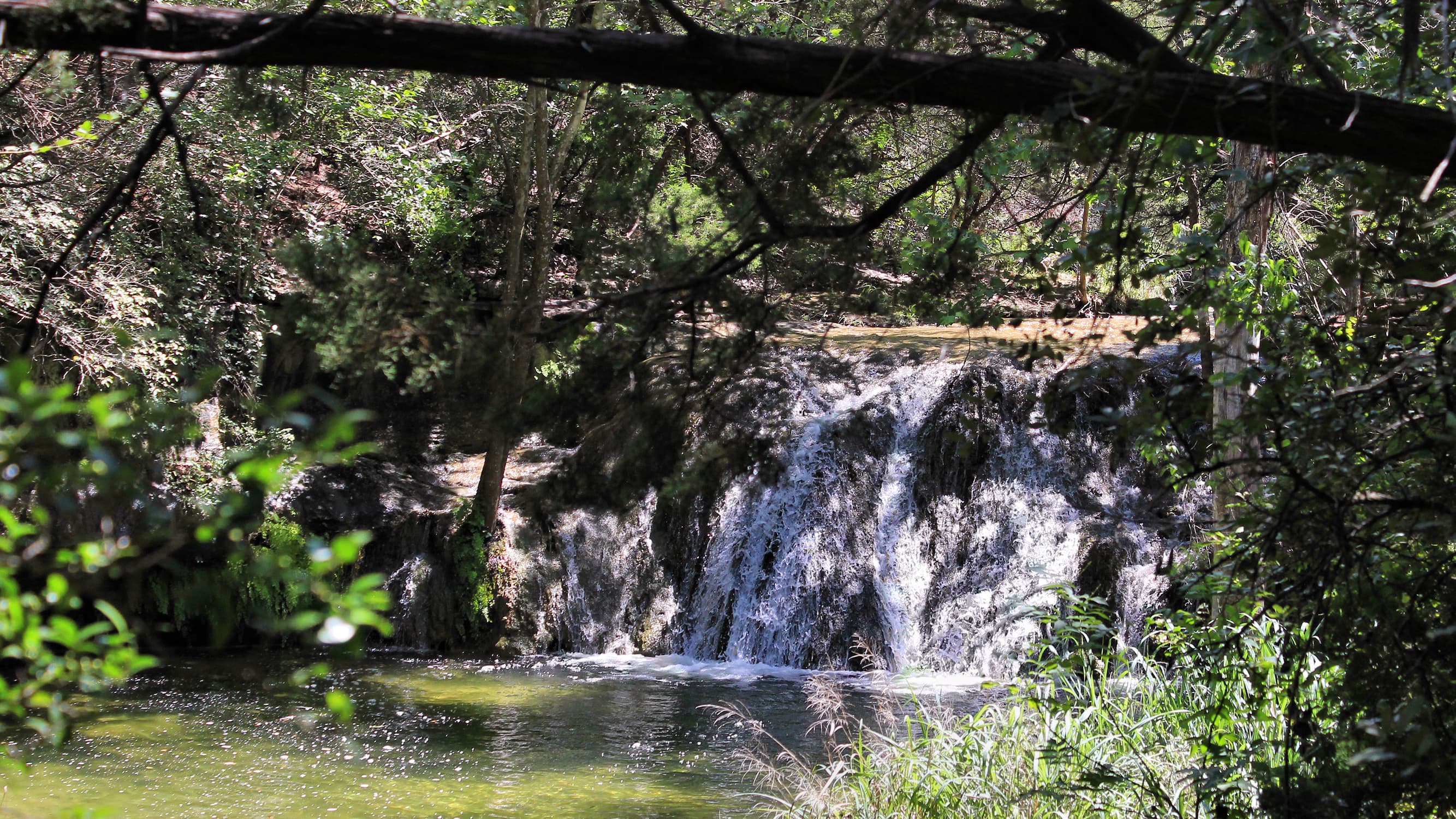 Wild Basin Wilderness Preserve