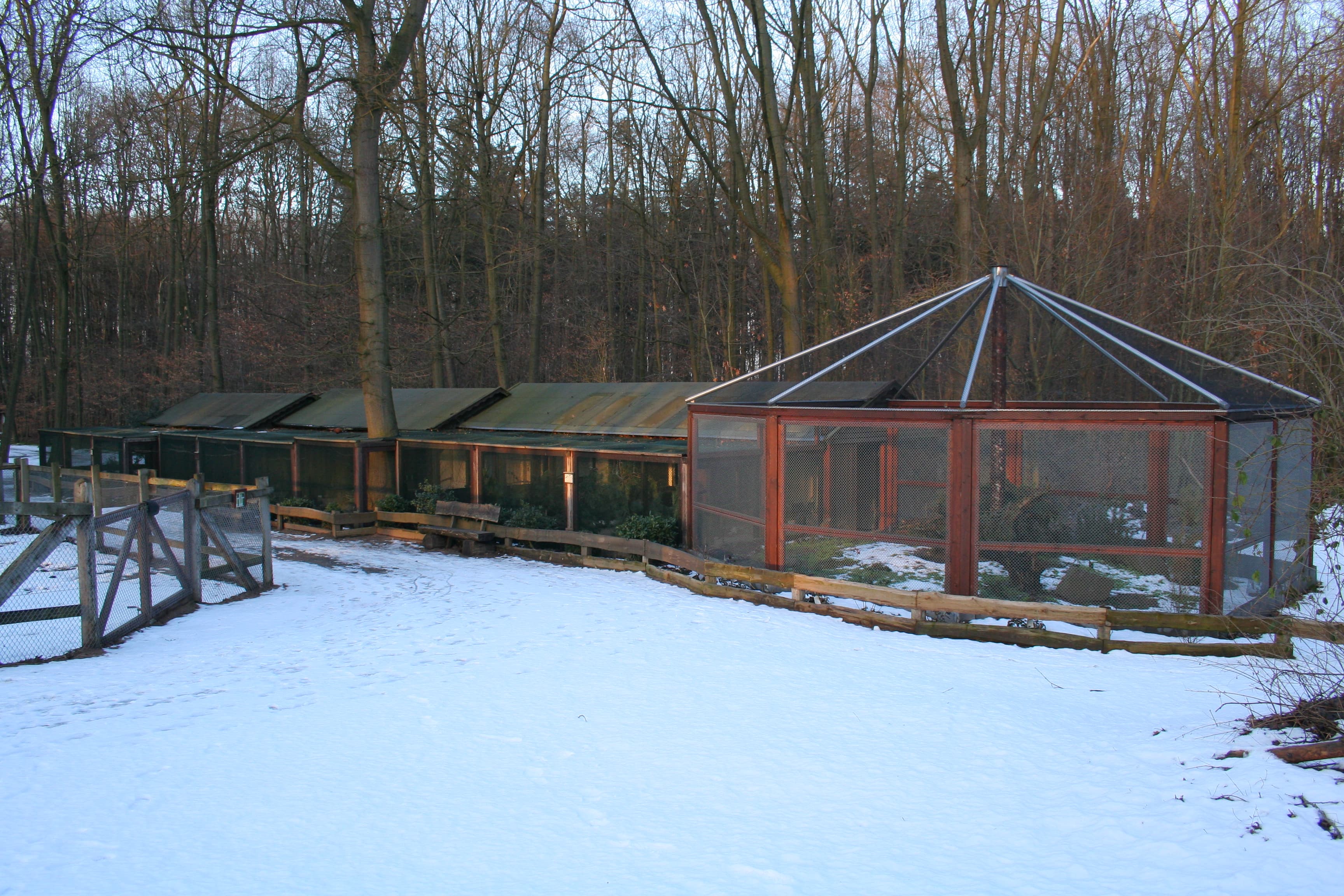 Wildpark Tannenbusch