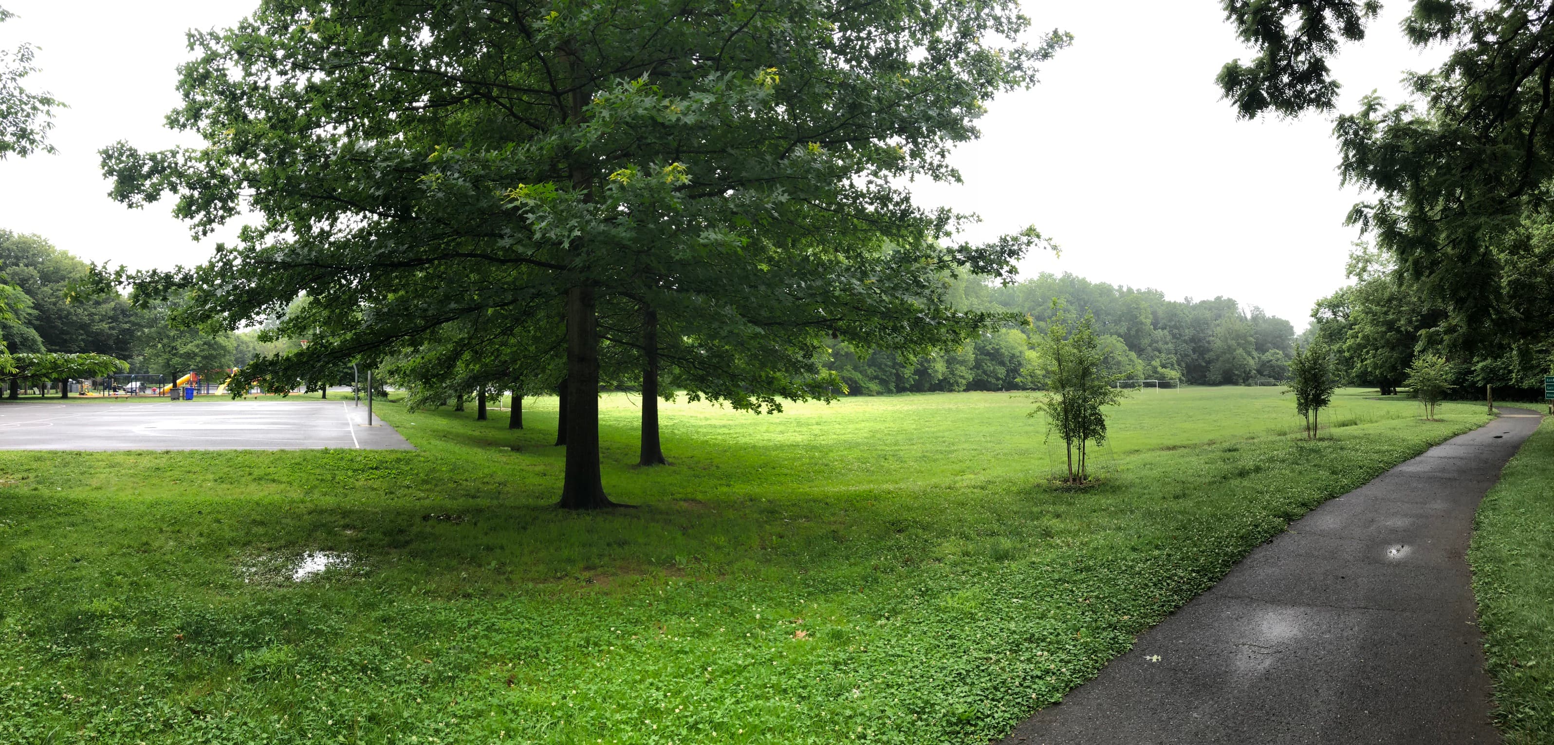 Winding Creek Local Park