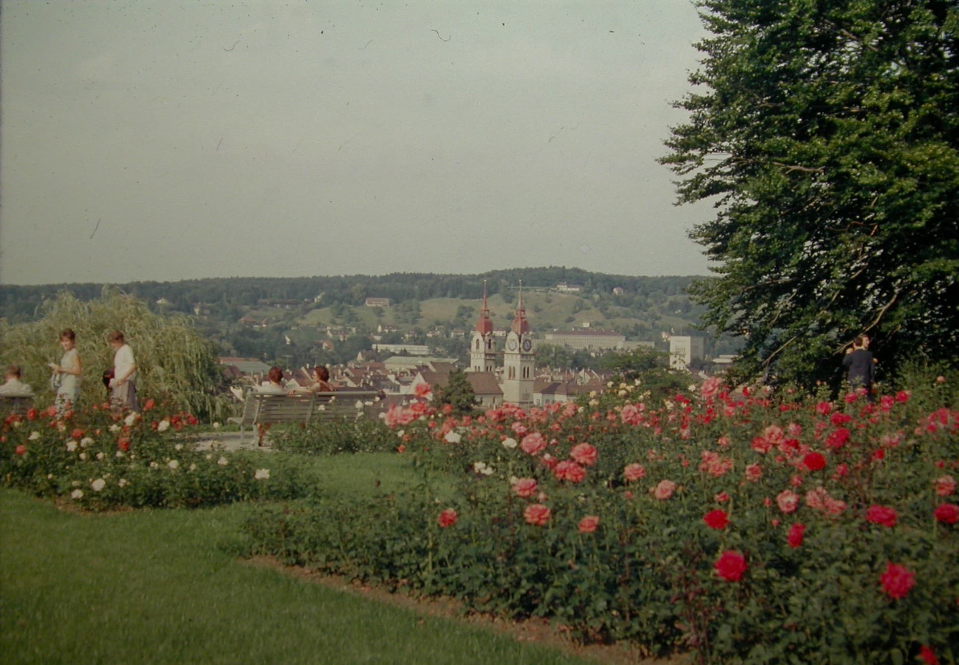 Rosengarten