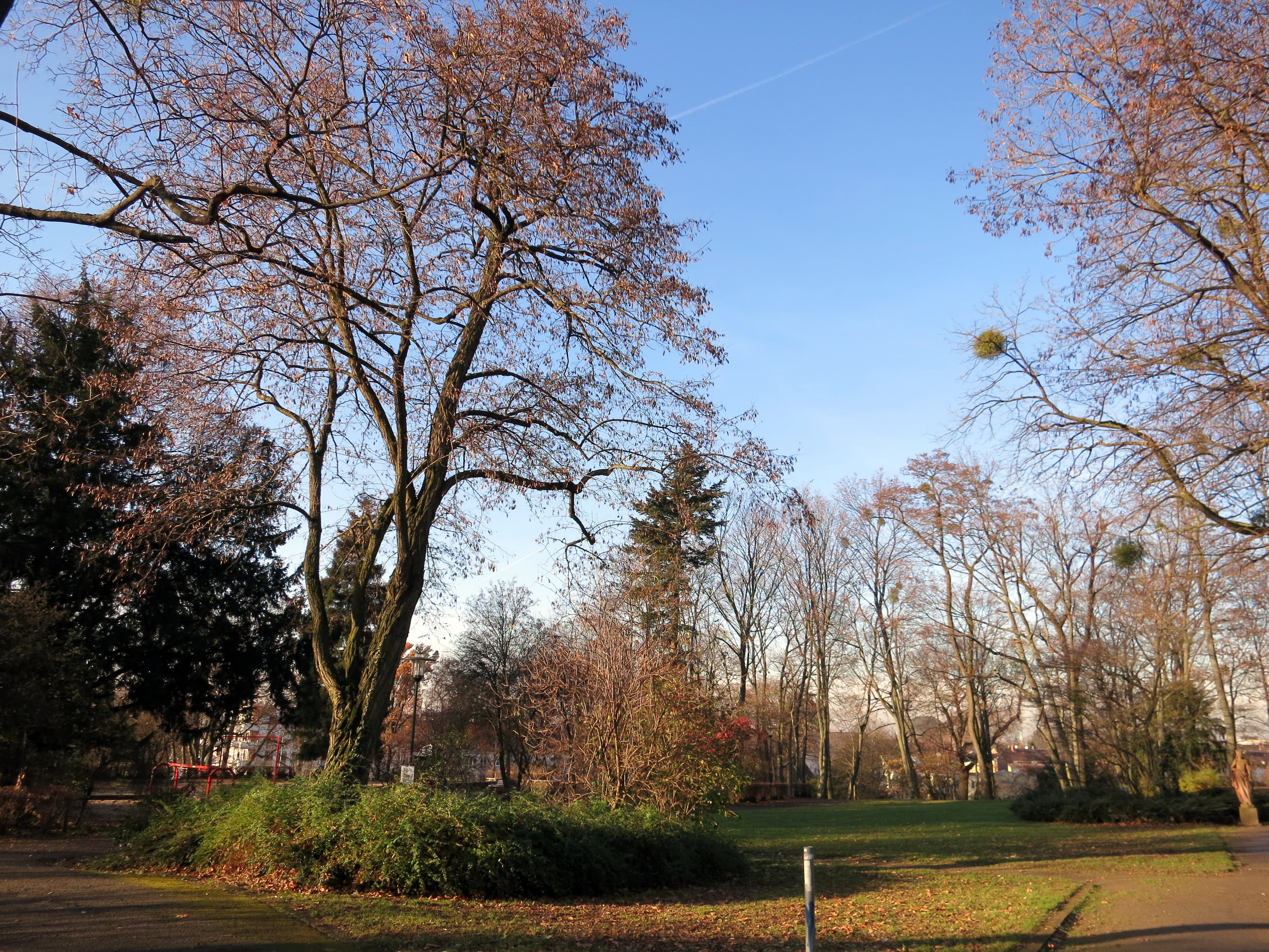 Wolfskehl’scher Park