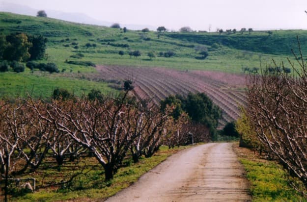 Mevo'ot HaHermon Regional Council
