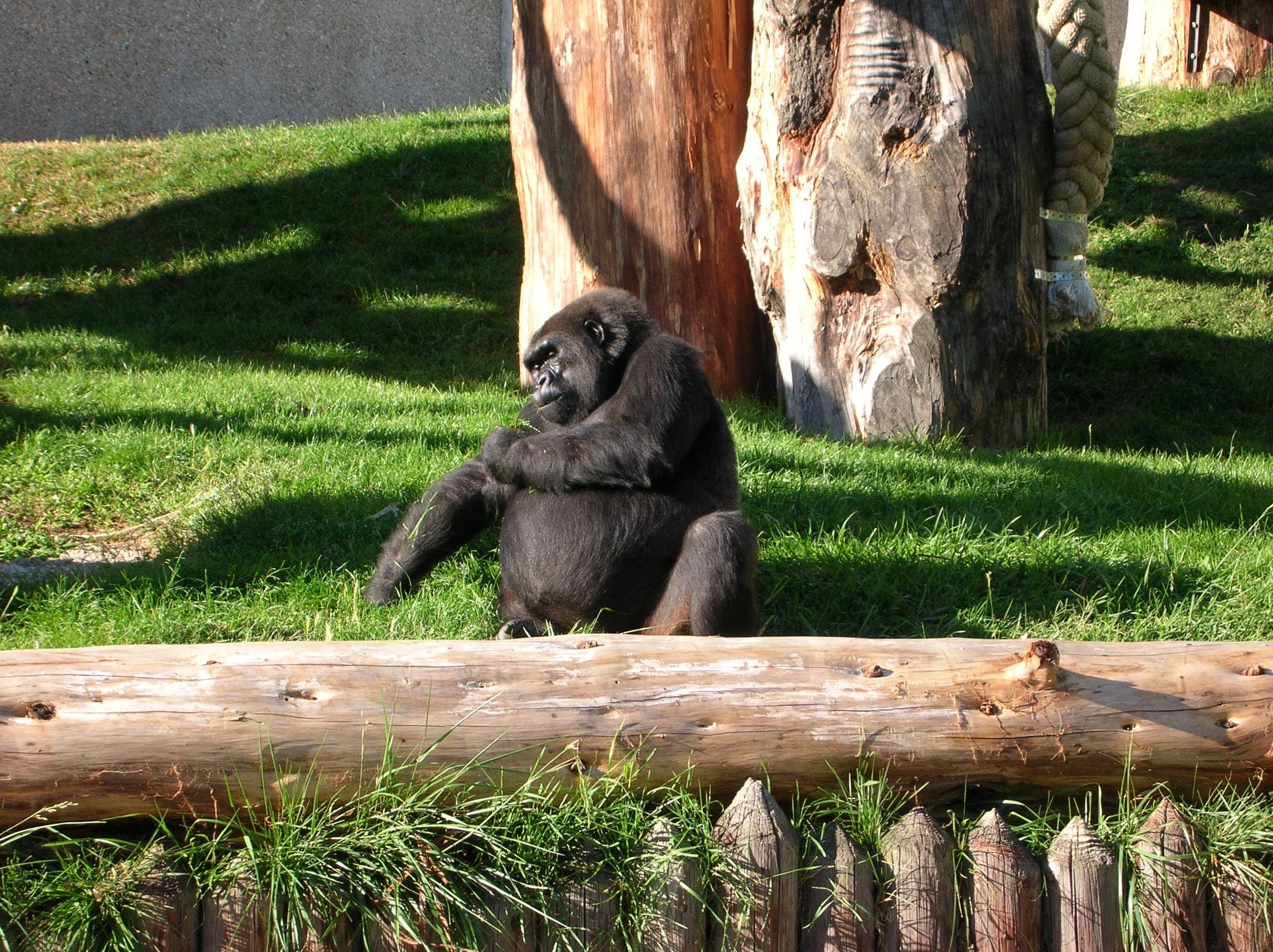 Espace zoologique de Saint-Martin-la-Plaine
