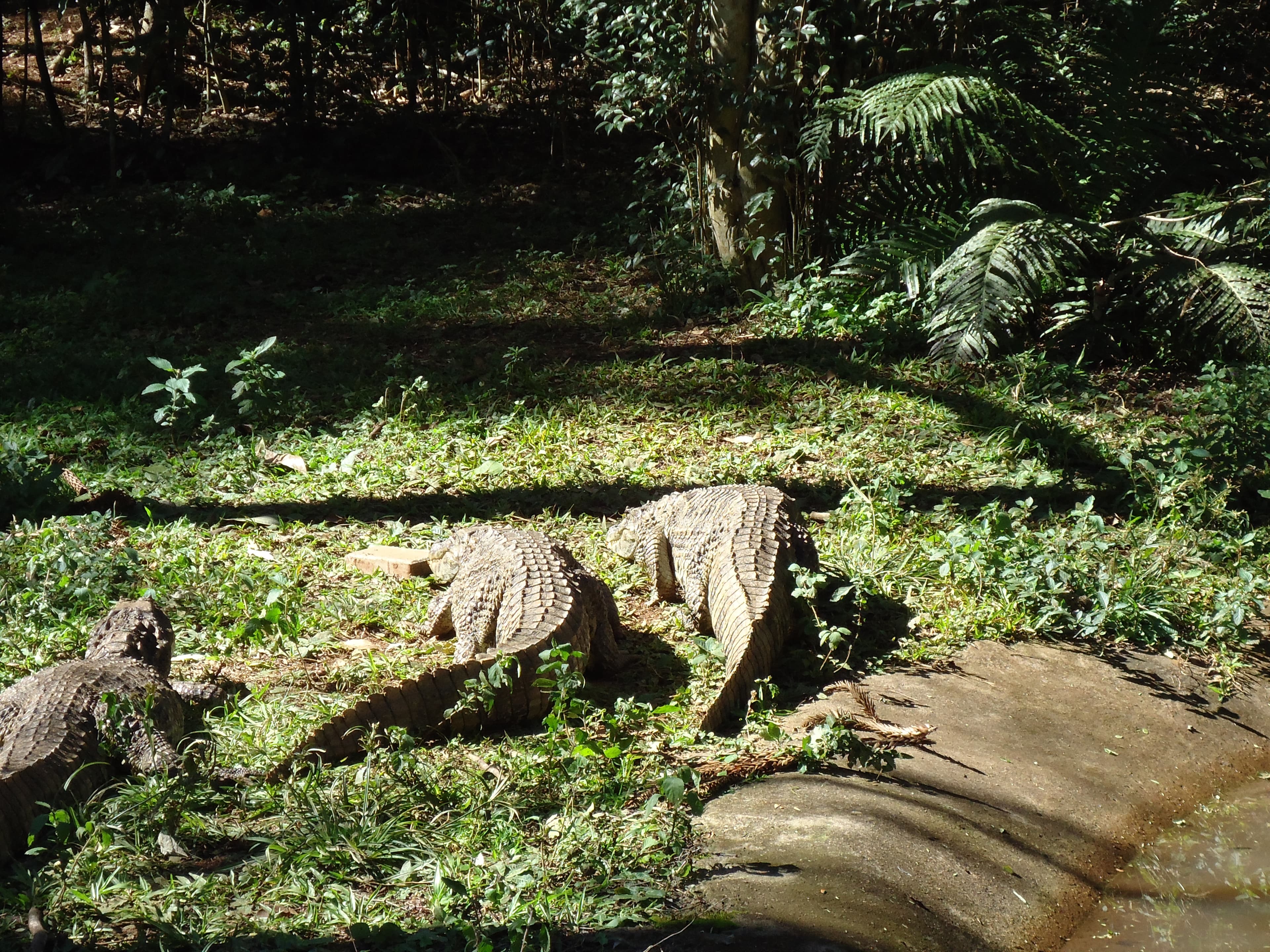 Parque Municipal Danilo Galafassi