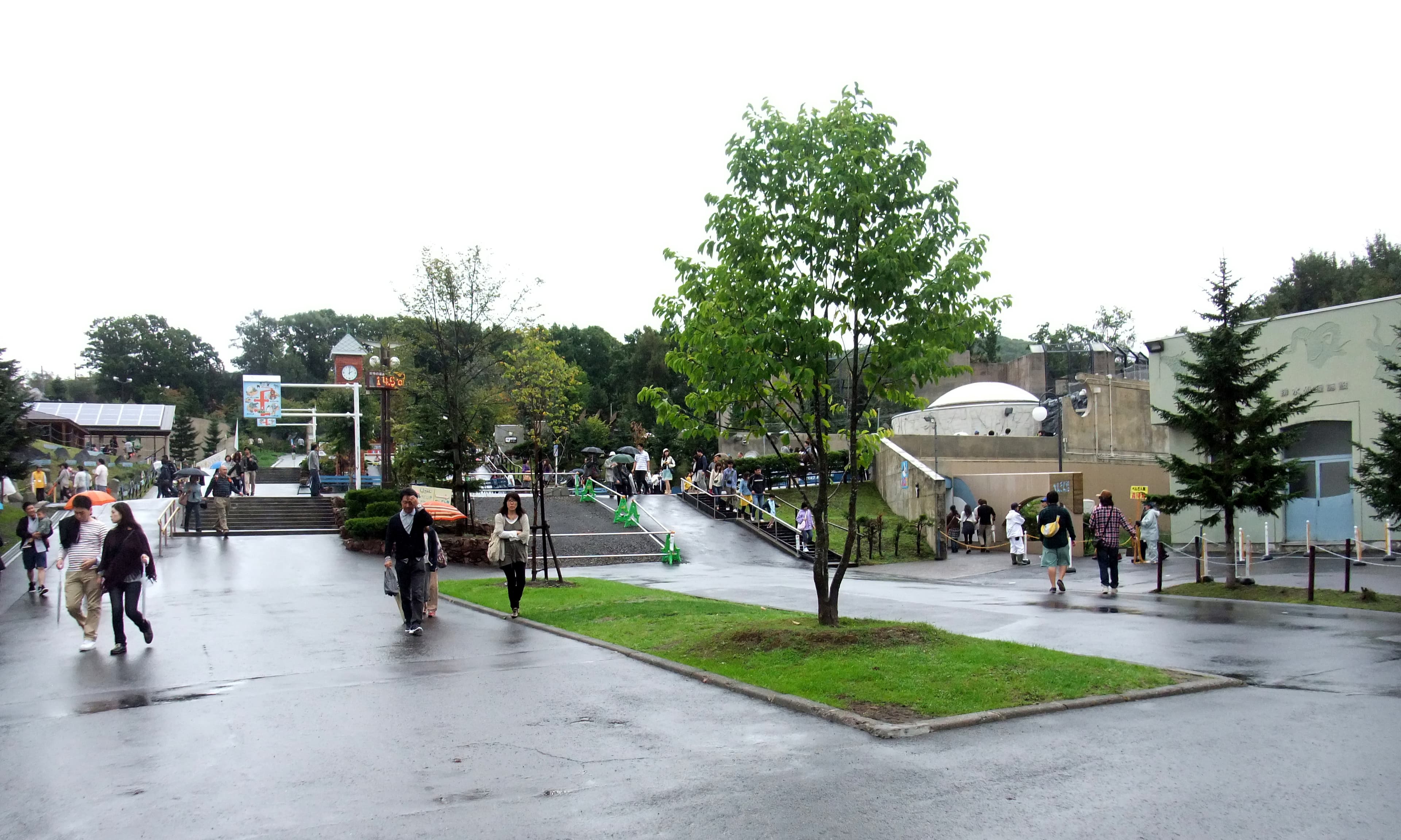 Asahiyama Zoo