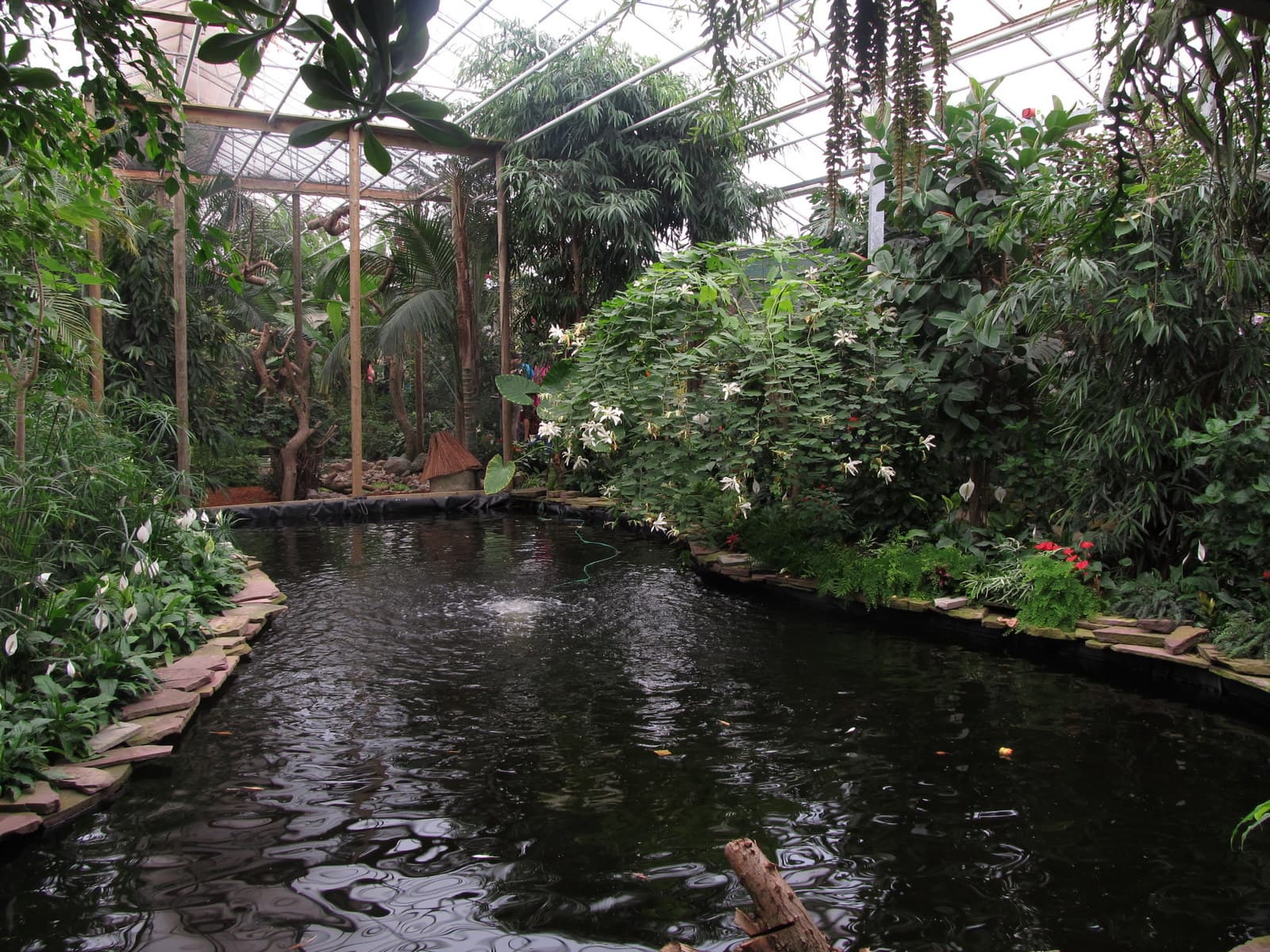 Berkenhof 's Tropical Zoo & Vlindertuin