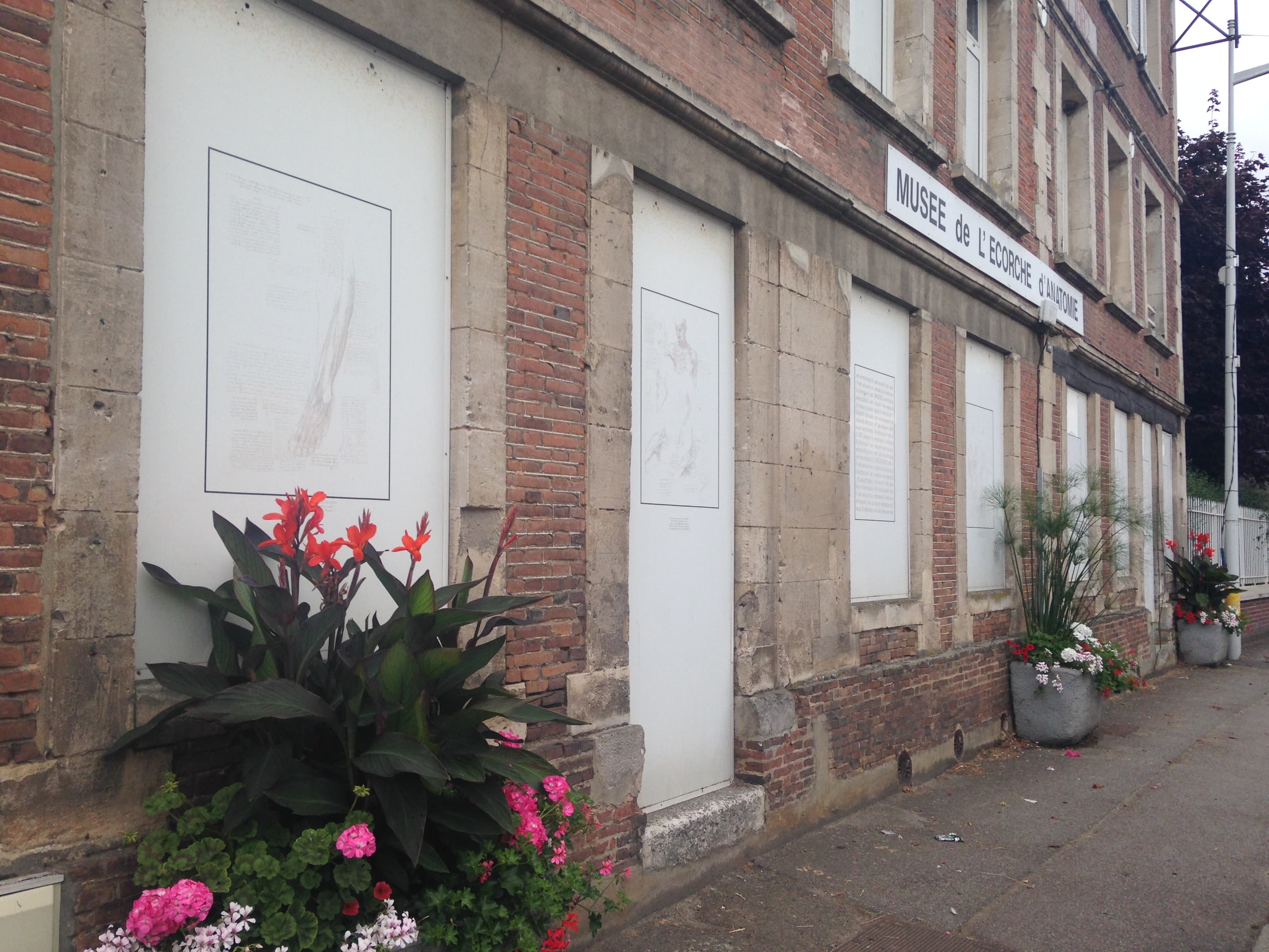 Musée de l'écorché d'anatomie
