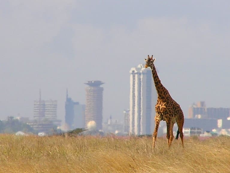 Nairobi National Park