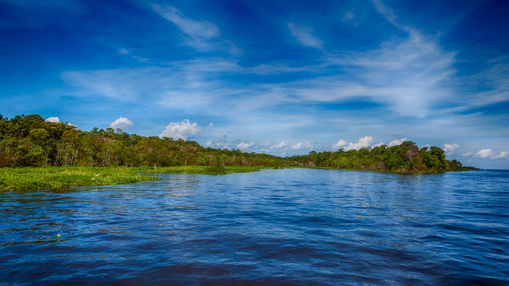 Amazônia National Park