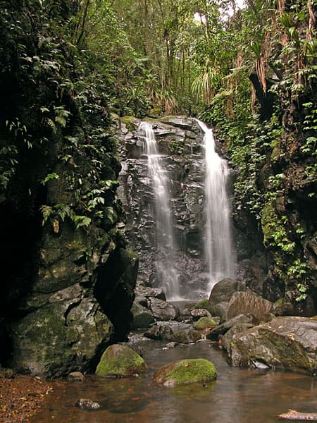 Lamington National Park
