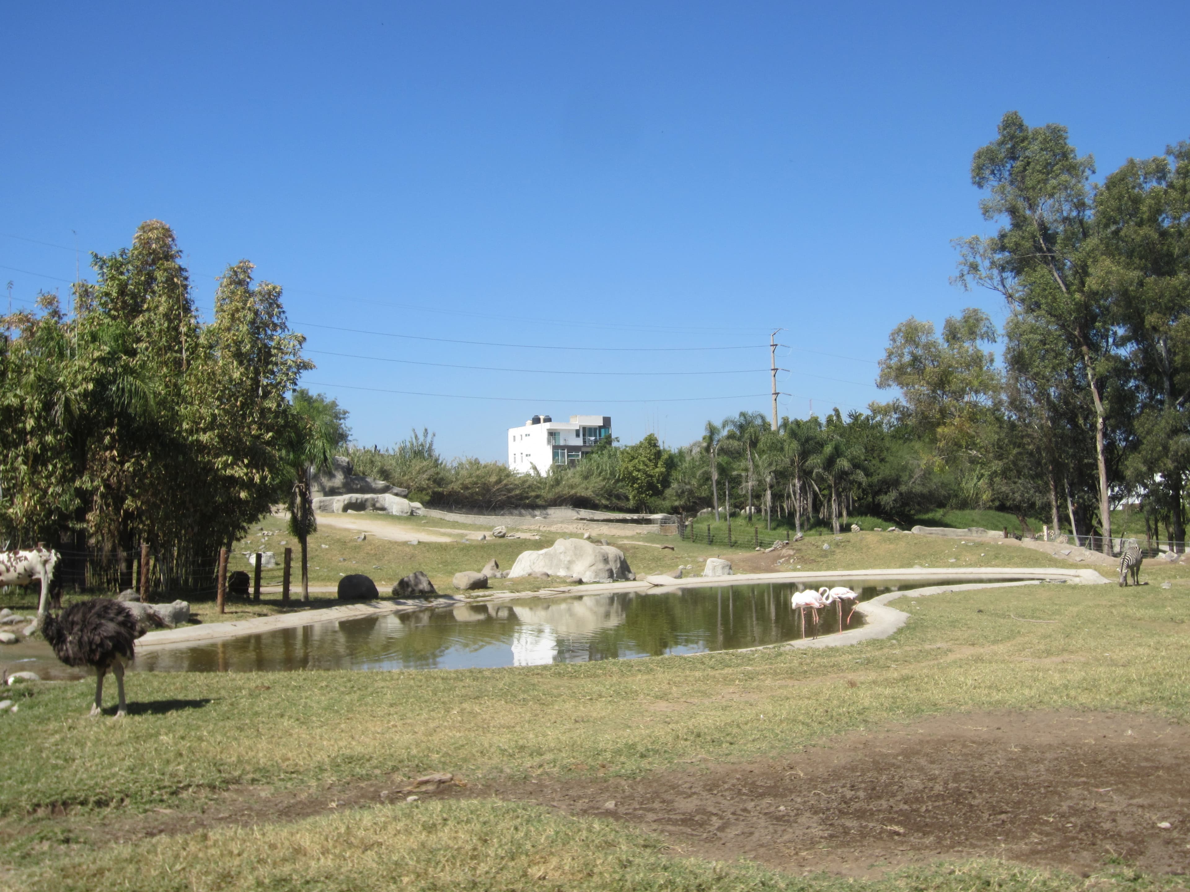 Guadalajara Zoo