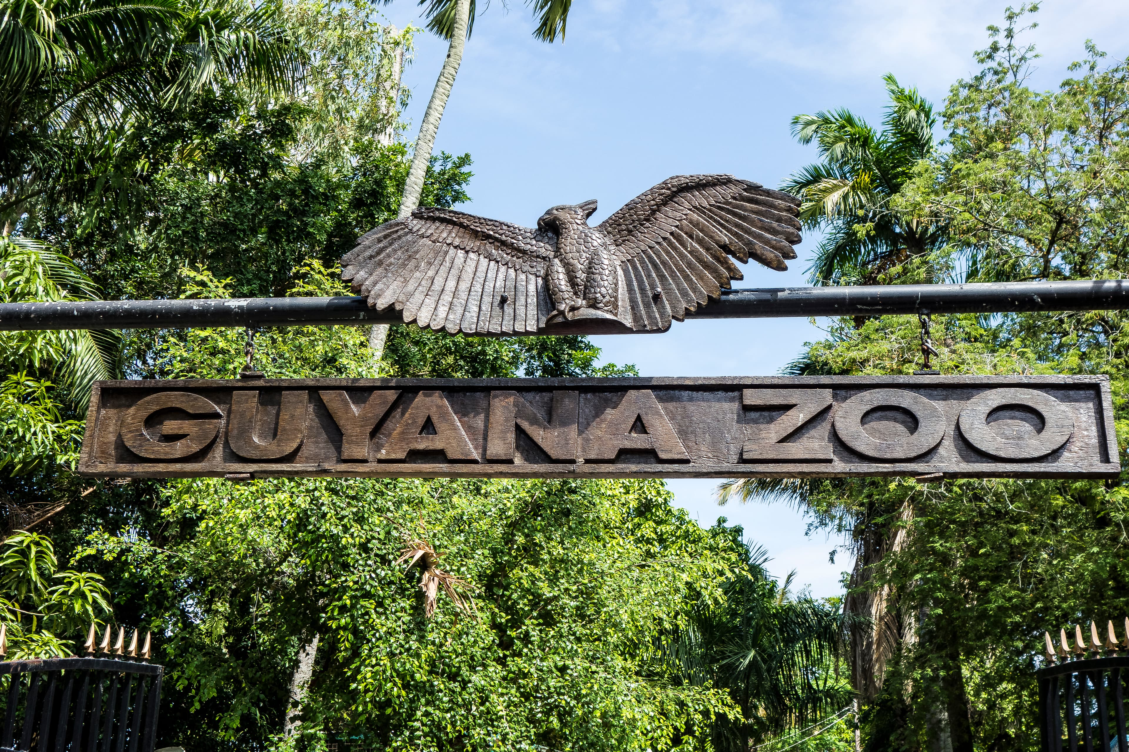 Guyana Zoo
