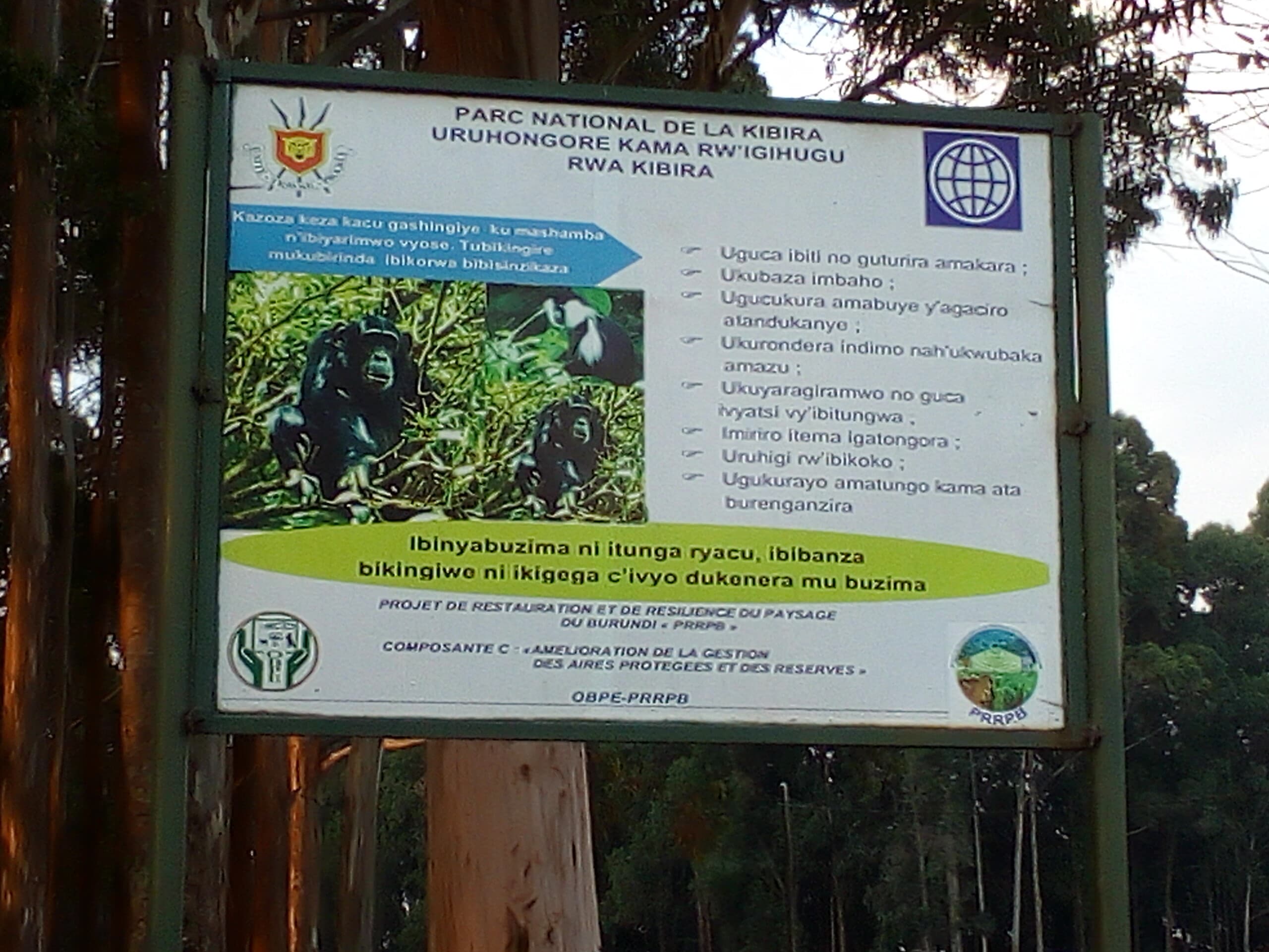 Kibira National Park
