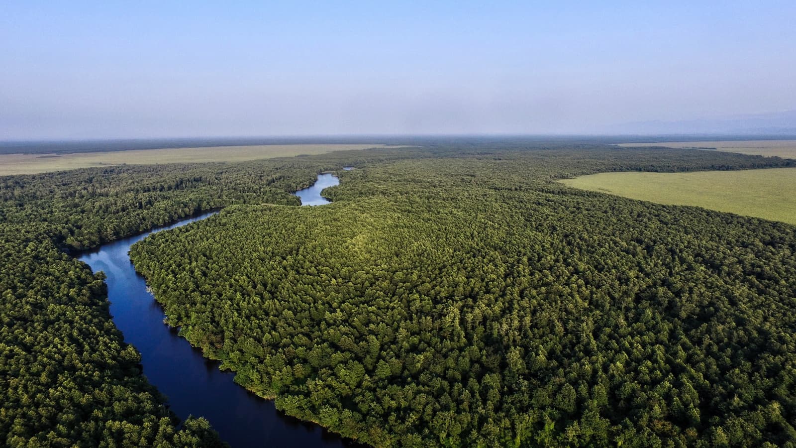 Kolkheti National Park